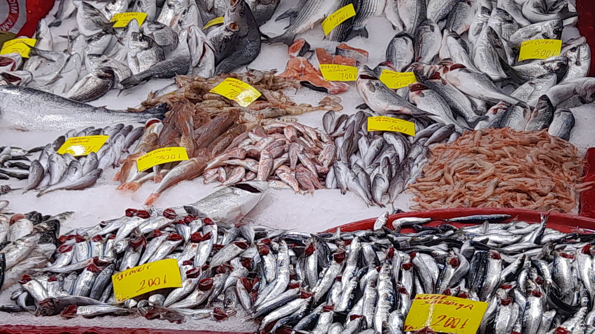 Balik Tezgahlarinda Hamsi Bereketi Basladi 614089 88250598530C5206C2E655E67378Dff2