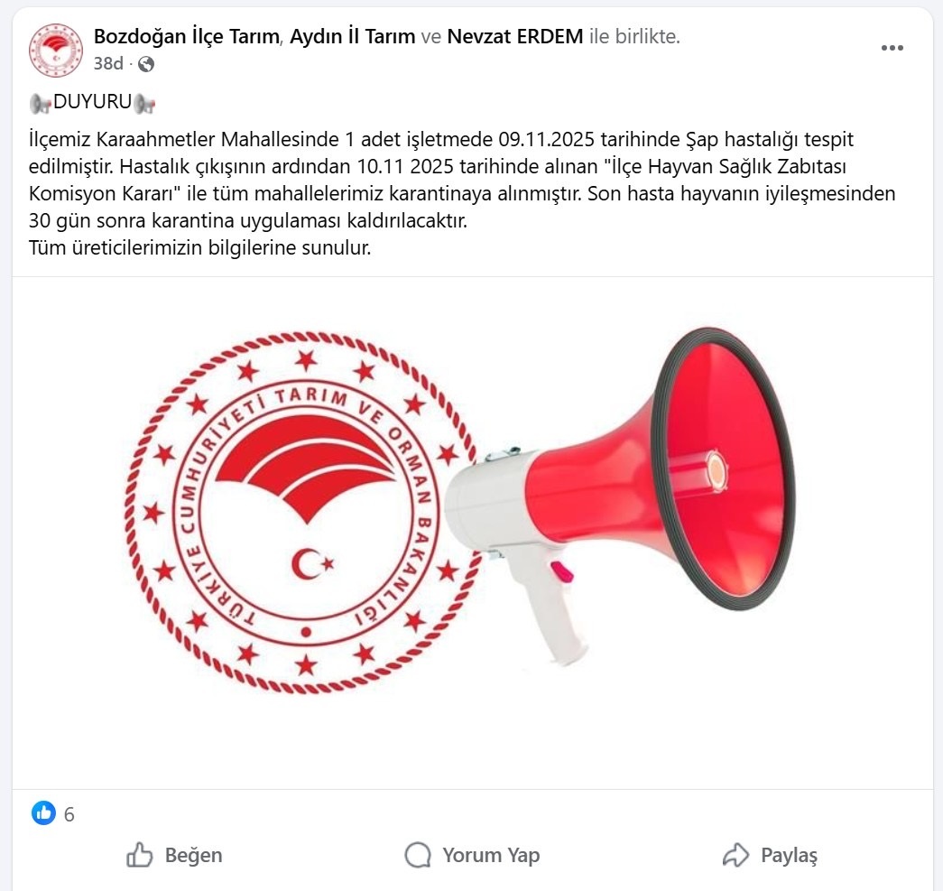 Bozdoganda Sap Karantinasi Tartisma Yaratti Ilce Baskani Yok Dedi Mudurluk Sap Aciklamasi Yapti 615165 B97A4E5772C4E5F131Dc40Ecf4C4C33E
