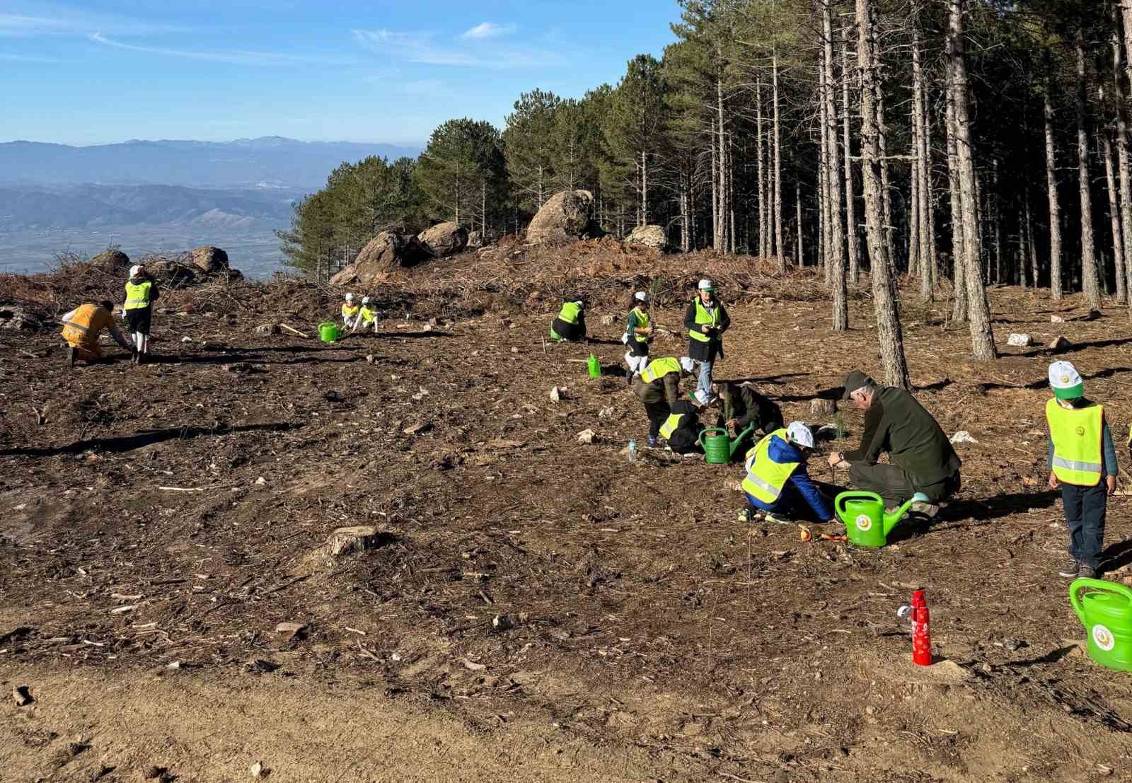 Cineli Ogrencilere Orman Faaliyetleri Anlatildi 5Ce56079Aa8C9F4466Aa1Bad6Daf3C06