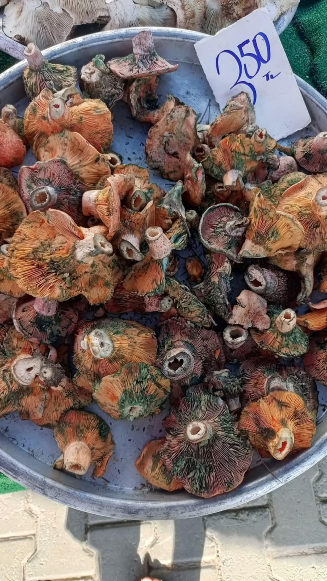 Cintar Pazar Tezghlarinda Yerini Aldi 611578 E7Feeefbe750Ac54B84Adee25E9E97D9