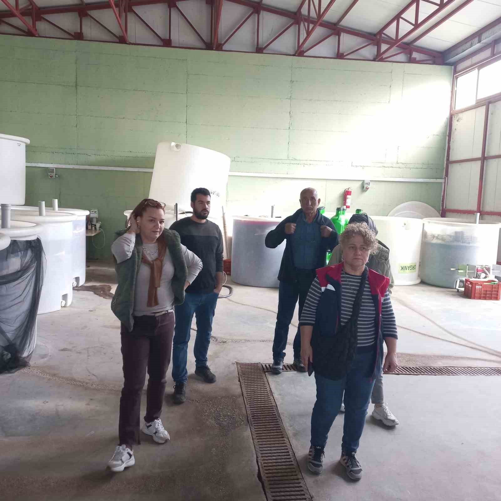 Didimde Organik Zeytin Ve Zeytinyagi Uretim Alanlari Denetlendi 367Aa04Eafb5F28B9Da5433C71F0F848