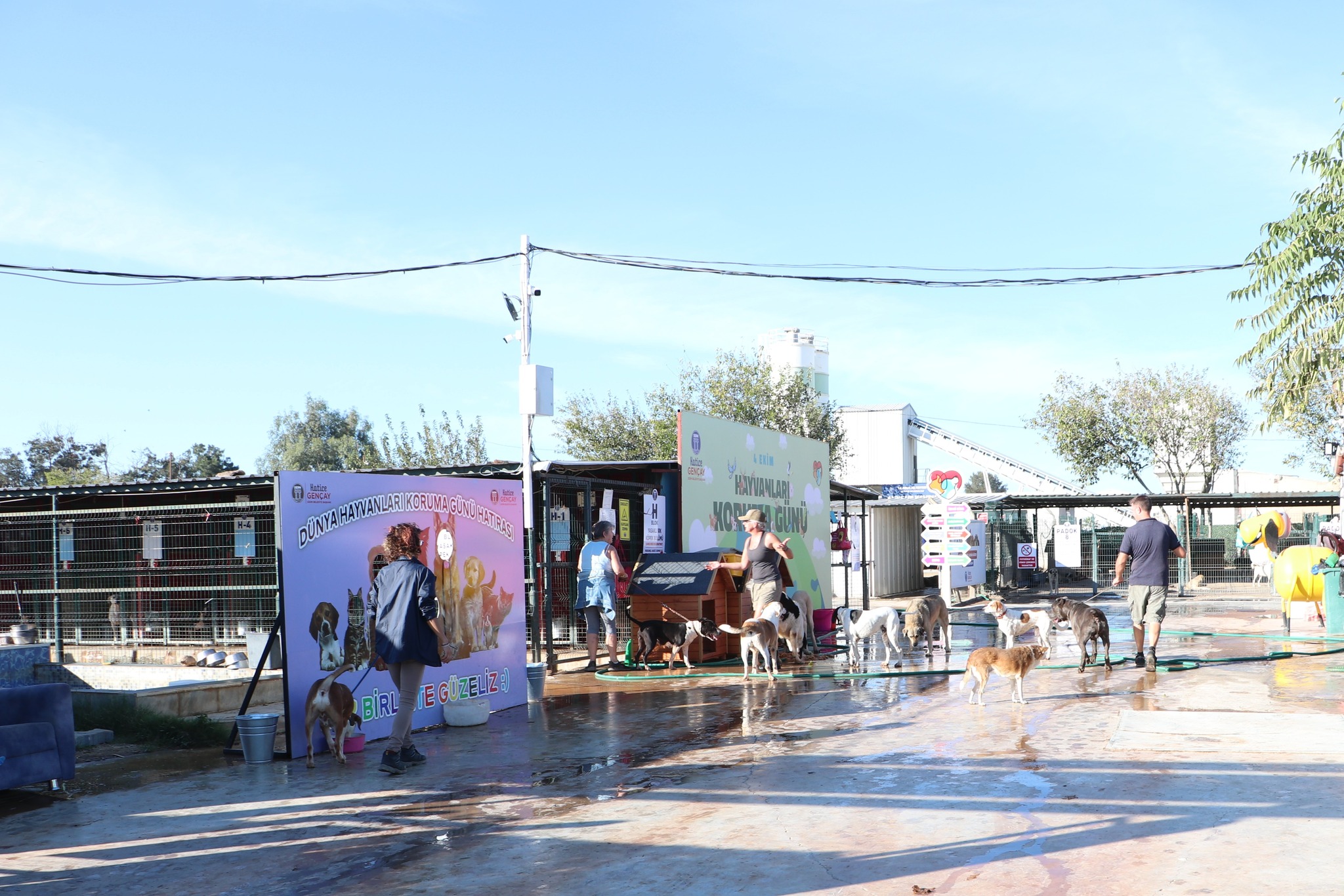 Didimdeki Patili Dostlar Icin Ortak Duyarlilik Cagrisi 614539 04F9F8E835E86D60D05Cca31C2D2Dbe5