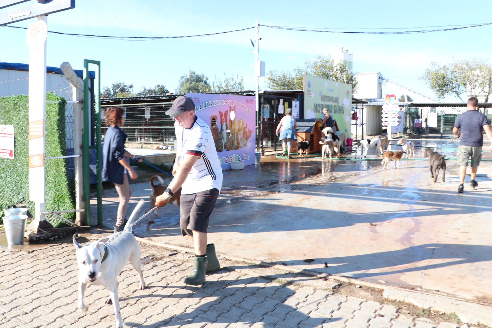 Didimdeki Patili Dostlar Icin Ortak Duyarlilik Cagrisi 614539 F22Cae040151501D92724Aa6481A1F59