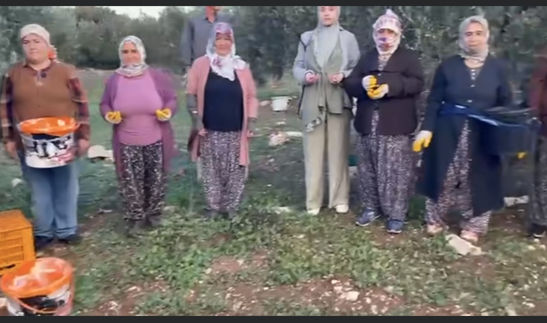 Didimli Zeytin Iscileri 10 Kasimda Atasini Unutmadi 612979 3442766C6867560A5B84568208898861