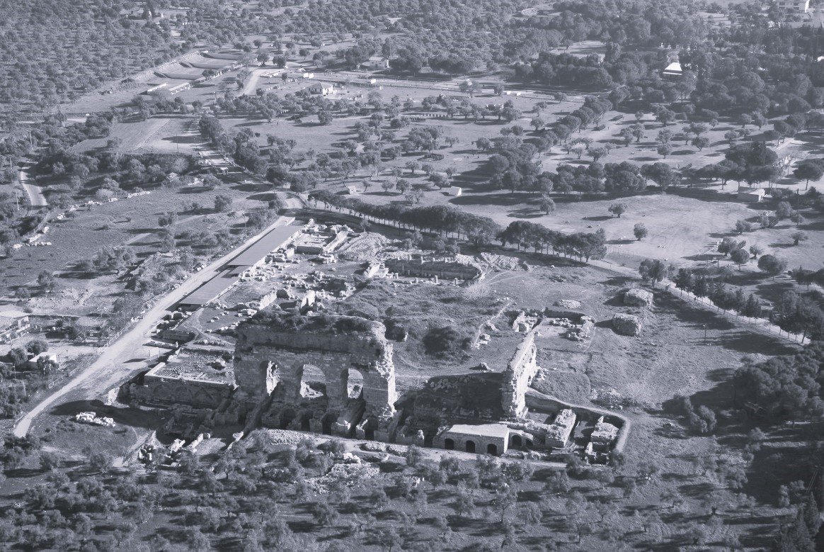 Dogaseverler Tralleisin Onemine Dikkat Cekti 645678Bbb57B06Ca19F33C4B60A22588