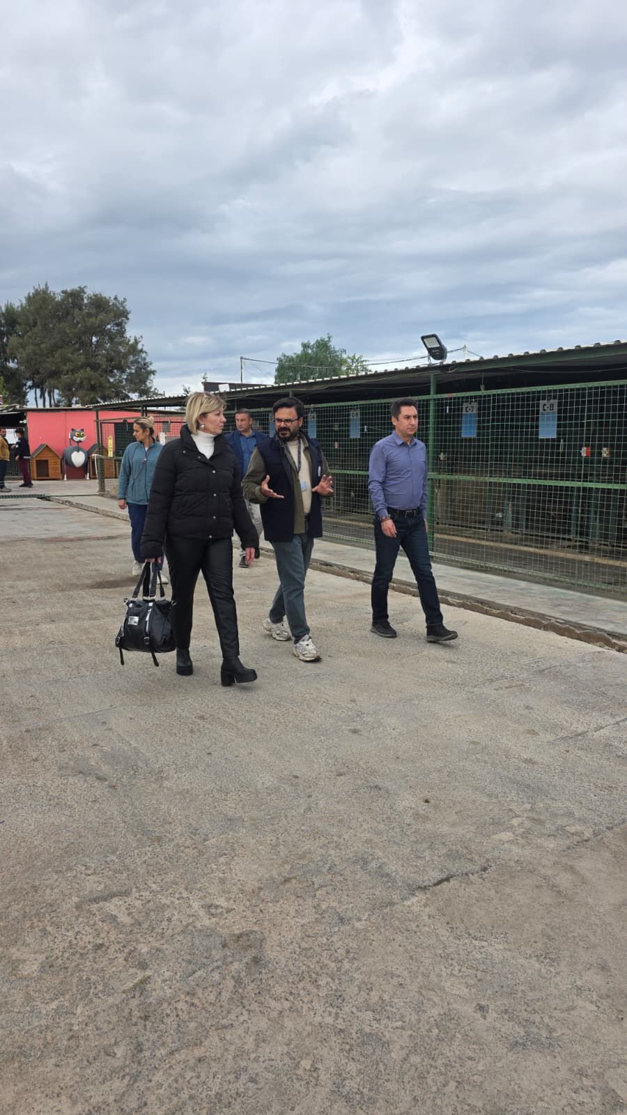 Hayvan Haklarinda Didimde Farkindalik Artiyor 617062 51777Dc2594A6Ada9D9F1F75Febe06E7