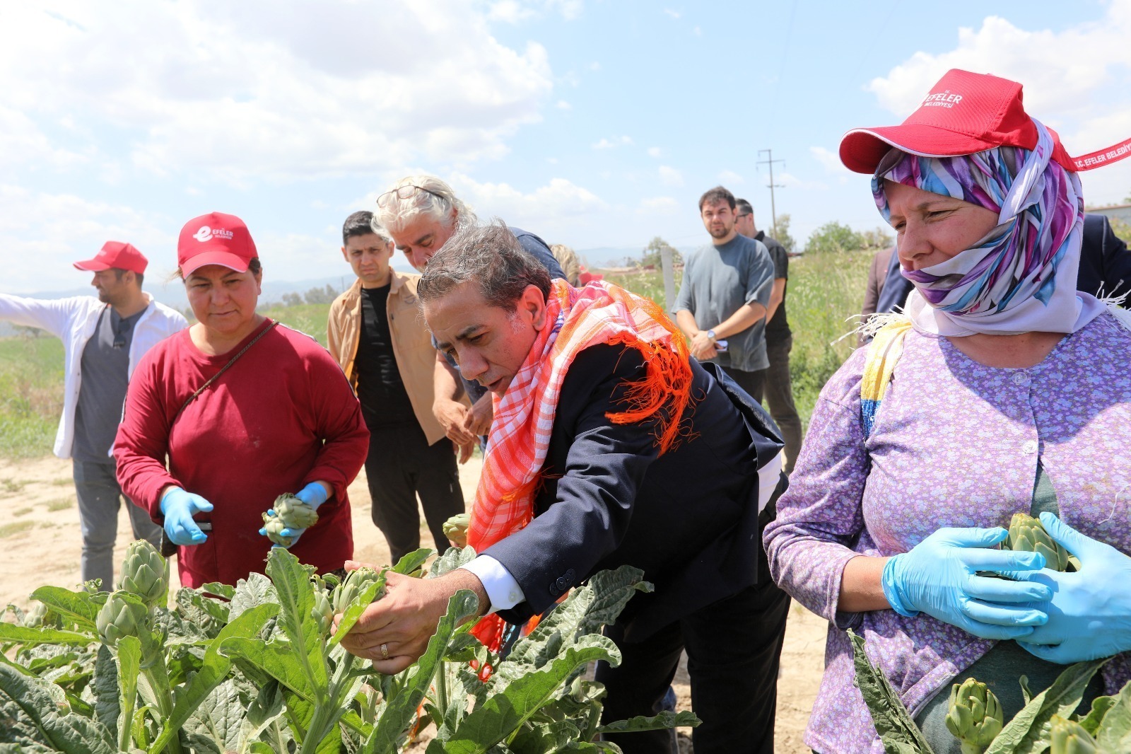 I M G 20251101 W A0040