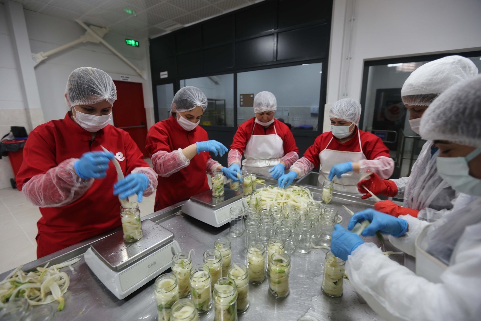 I M G 20251101 W A0044