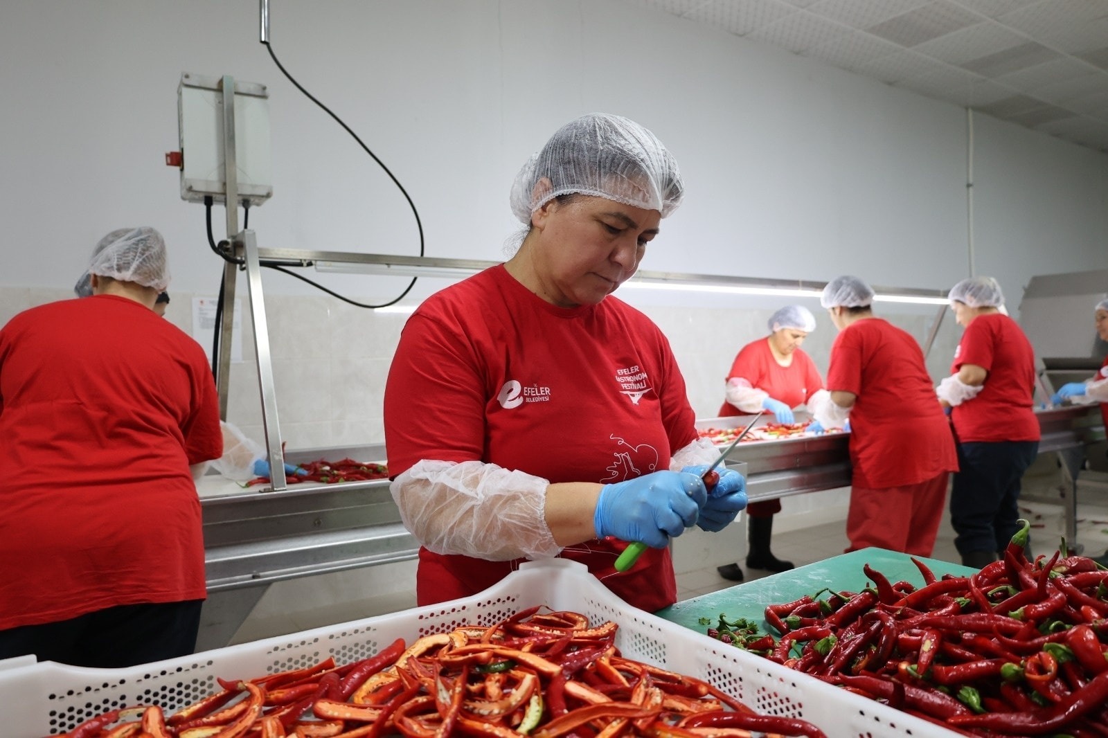 I M G 20251101 W A0047