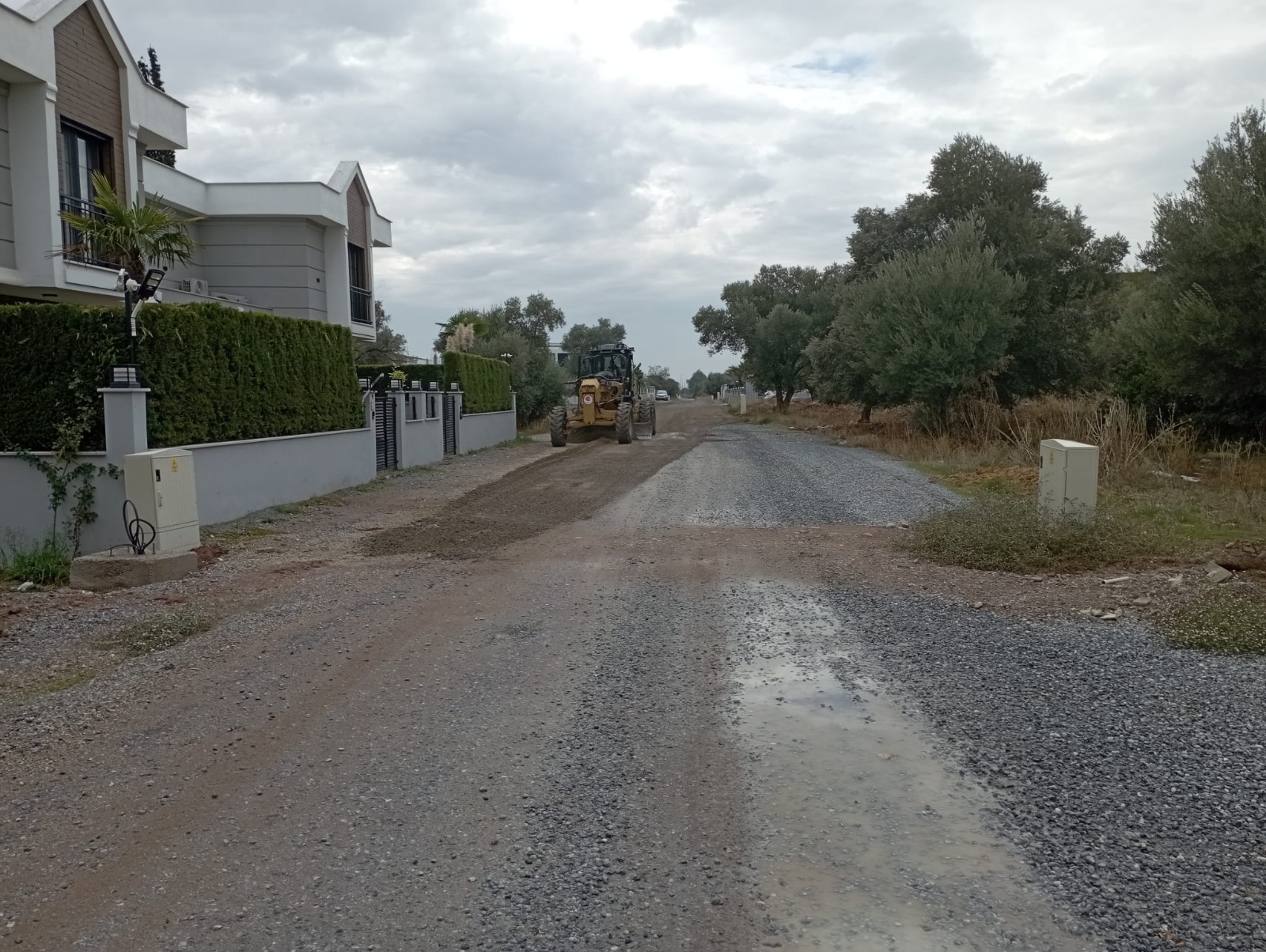 I M G 20251101 W A0062