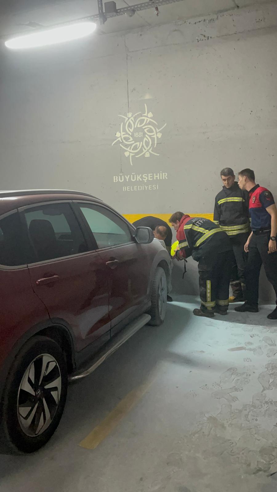 I M G 20251106 W A0060