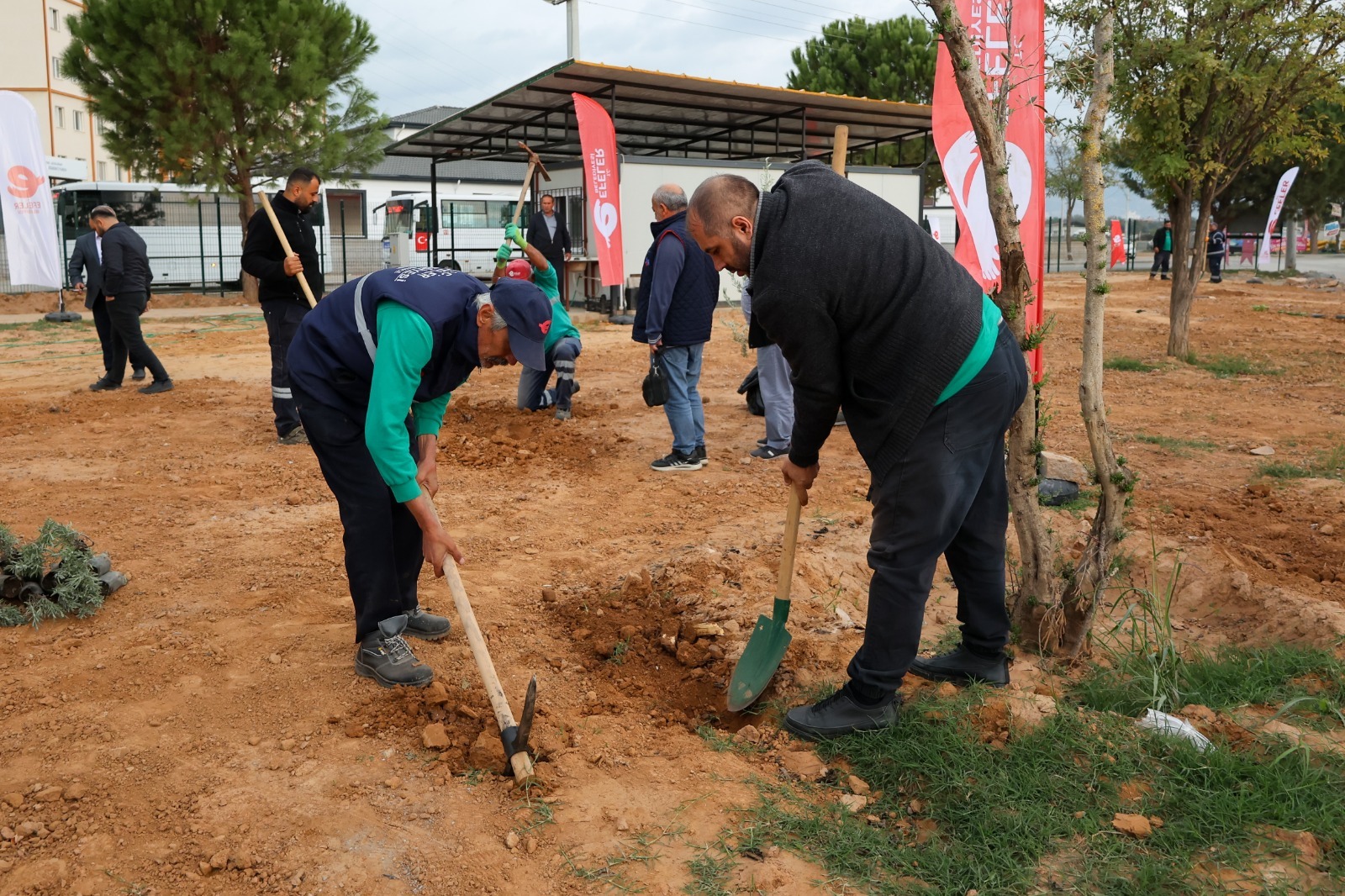 I M G 20251111 W A0071