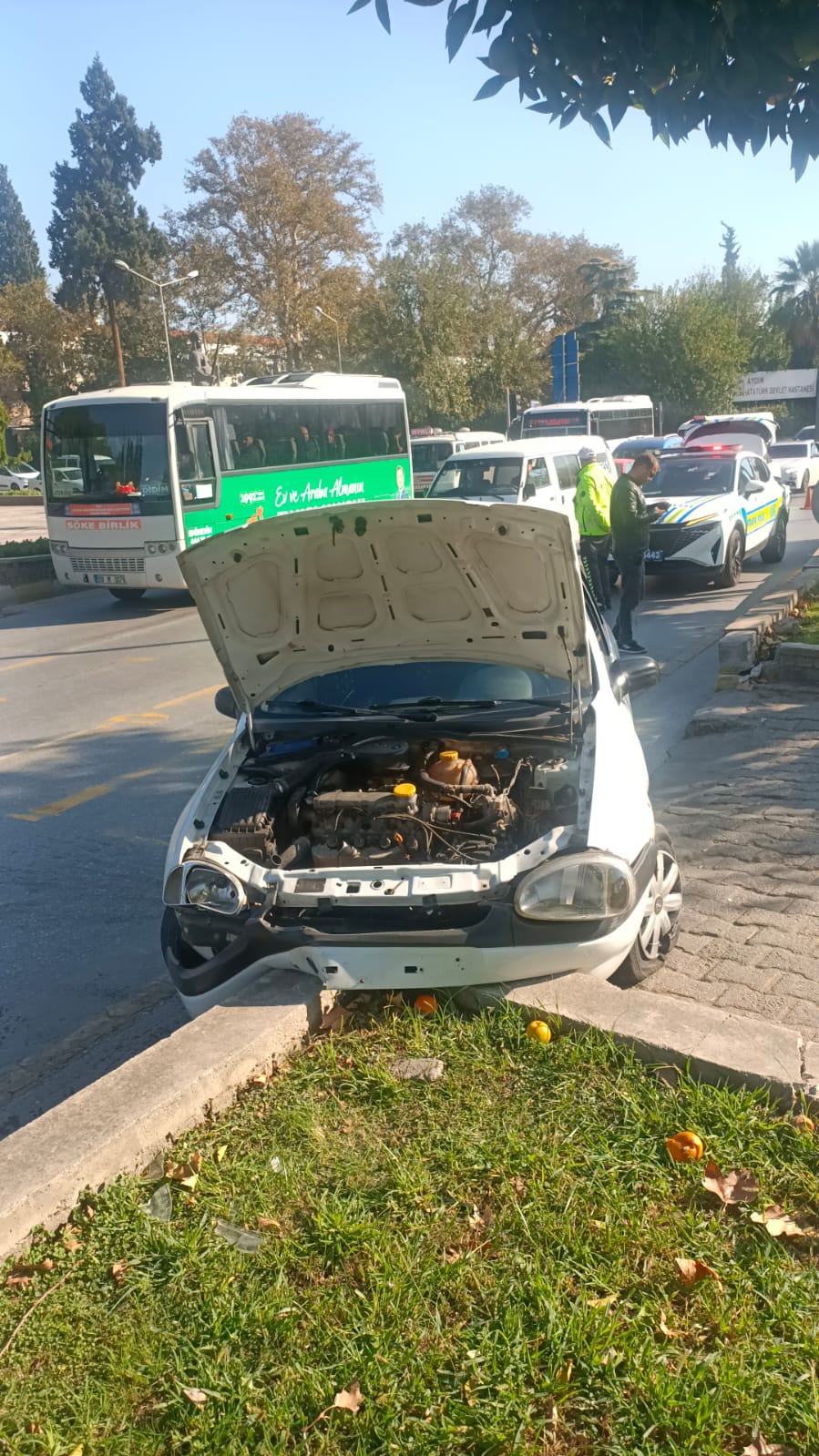 I M G 20251114 W A0015