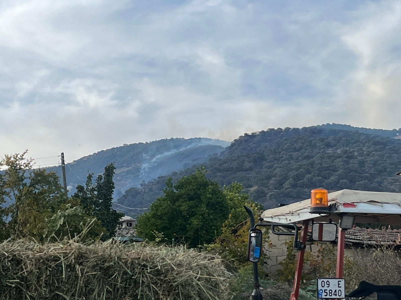 I M G 20251122 W A0048