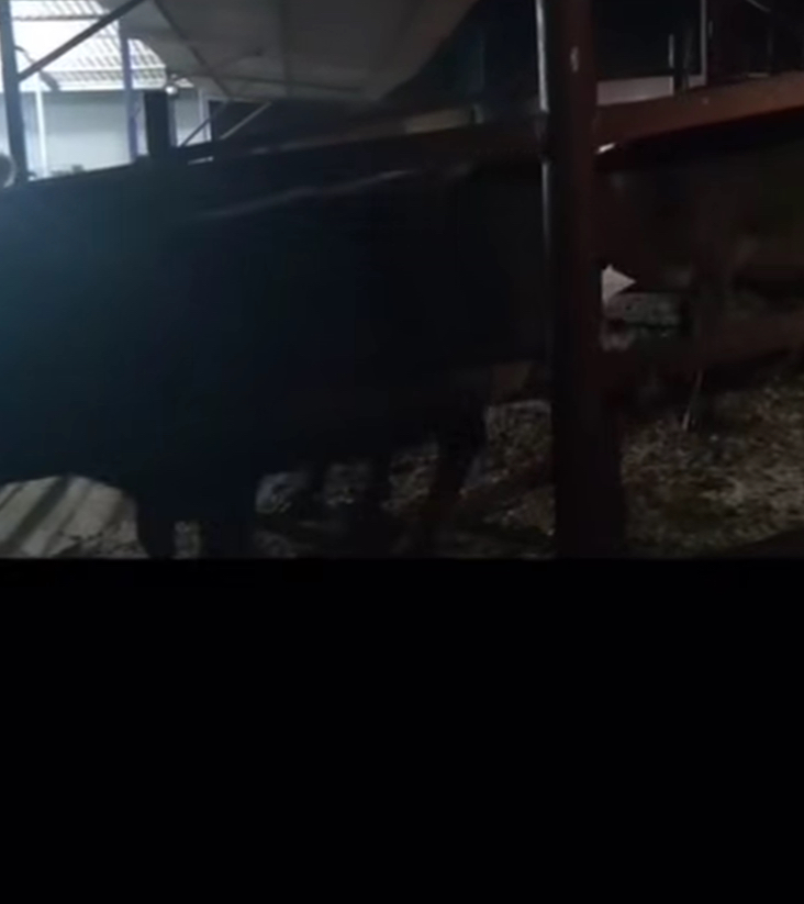 Incirliovada Jandarma Yakaladi Rekor Ceza Kesildi 615241 9Be3F2C93Ac68F5C020B71F4D810Fda7