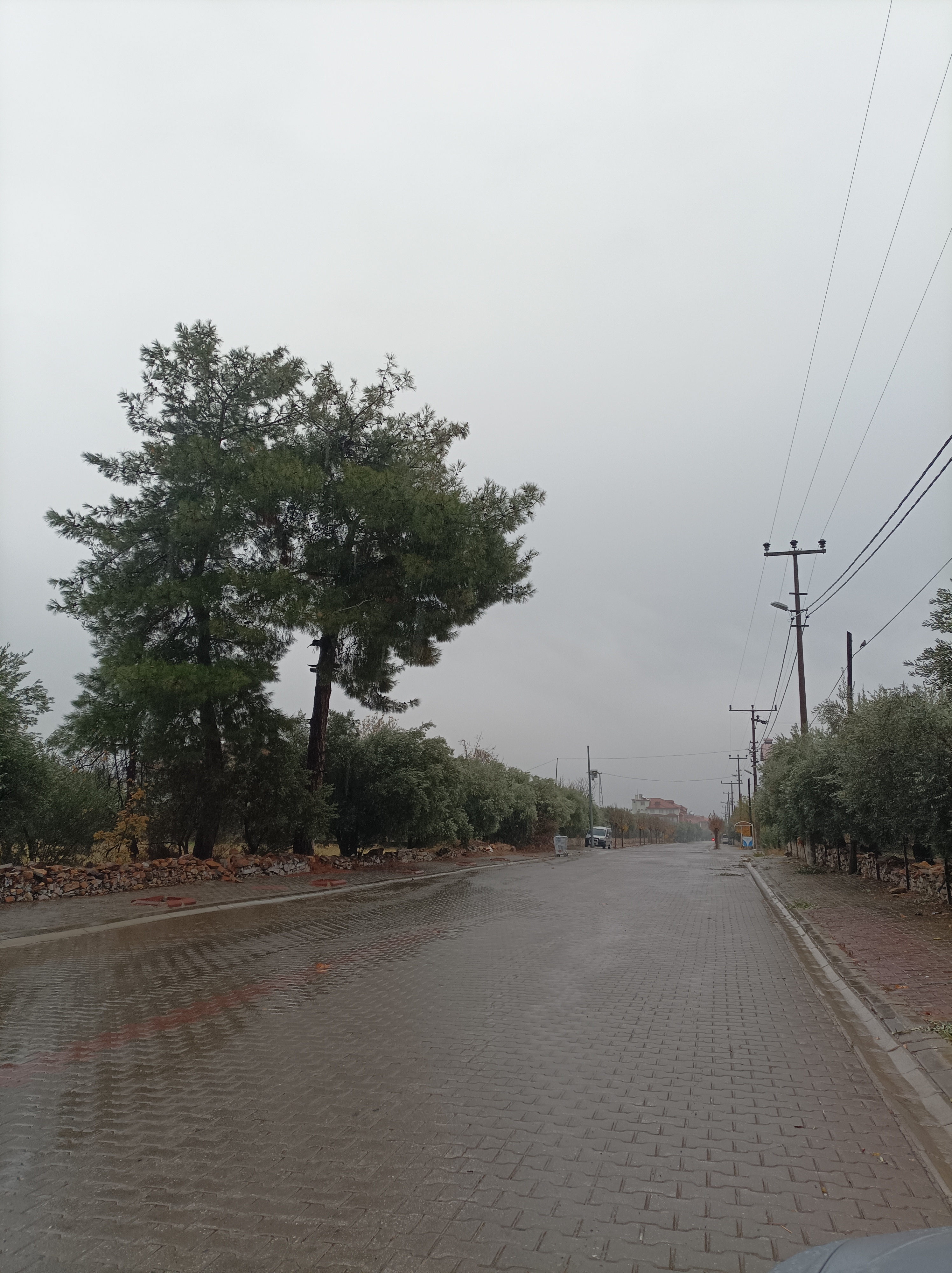 Karacasu Yagmurla Hasret Giderdi 617839 2Ee7E39D900C52839Ce1E00A4Fb3826D