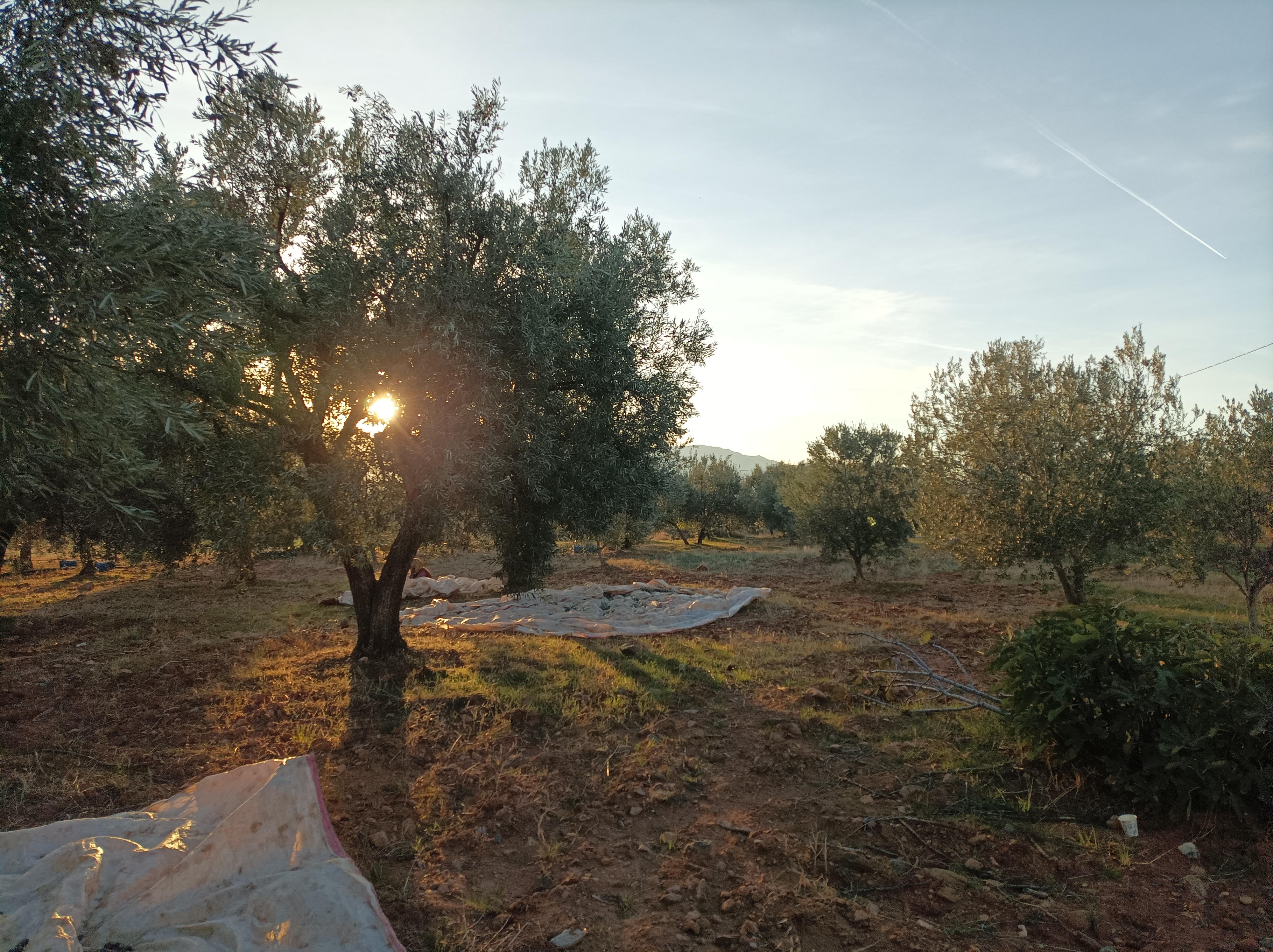 Karacasuda Sivi Altinin Yolculugu 617291 A14Cbab7E12A0907383Bbc76D1De8E45