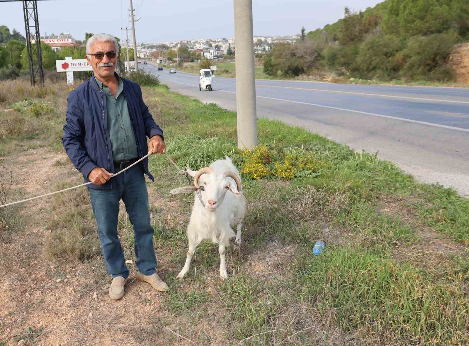 Kecileri Ile Tatil Yapiyor 1Bc579Aee042Bbe4A993480C71Df195E