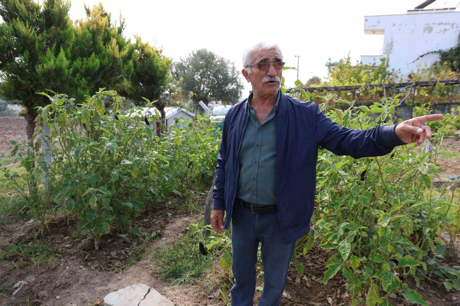 Kecileri Ile Tatil Yapiyor 725120Fe23A377515793B254Ad0Ca87C