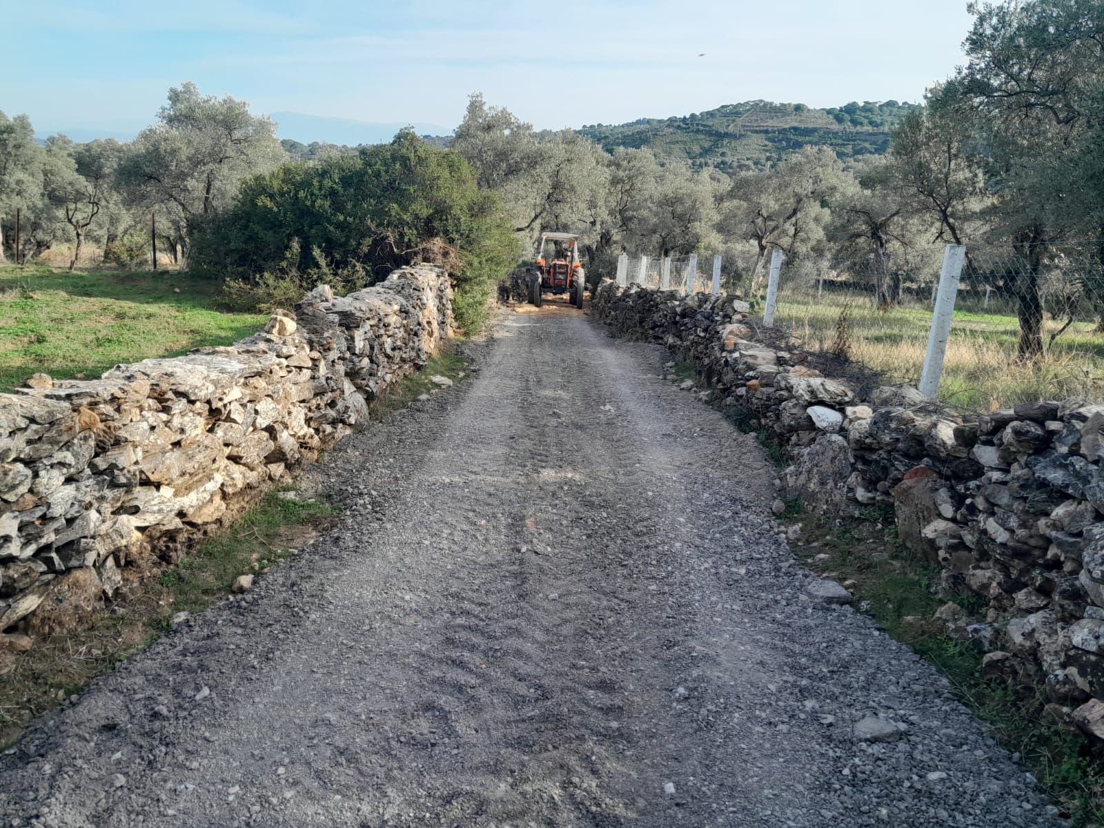 Kocarlida Zeytinliklere Ulasim Kolaylasti 611065 6C19F1A97313A08Faba0205710E889D0