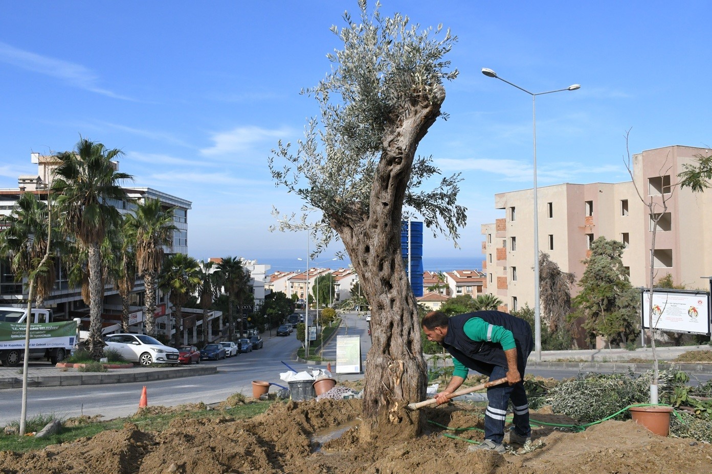 Kusadasi Belediyesinden Cevreye Duyarli Peyzaj Uygulamasi 914592D5E559C40F02D2B81211Baa93F