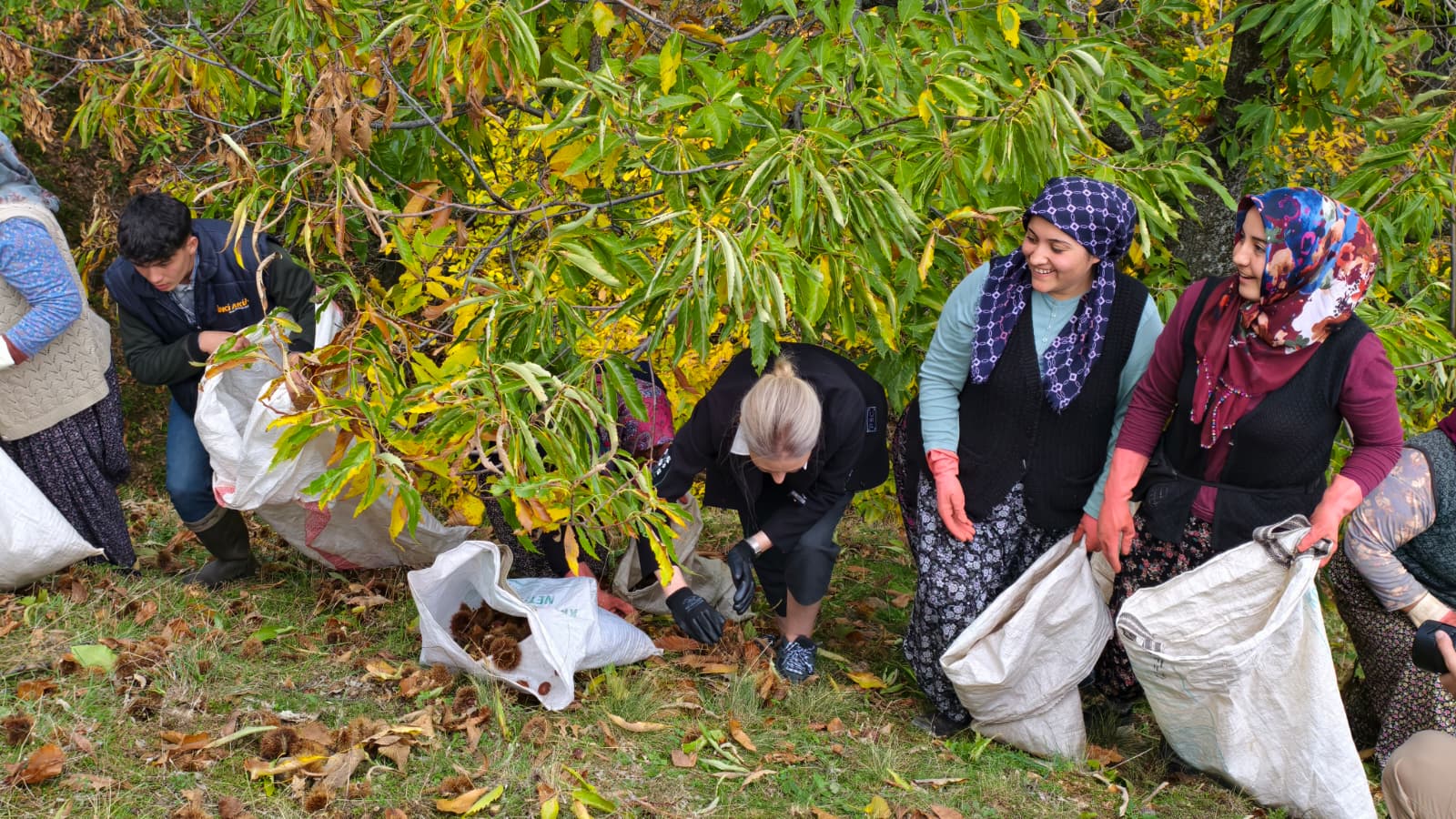 Nazillinin Kalbinde Bir Kadin Eli Kaymakam Huriye Kupeli Kan 611119 59C82E83753Edd545505D457Ab66Aa6F