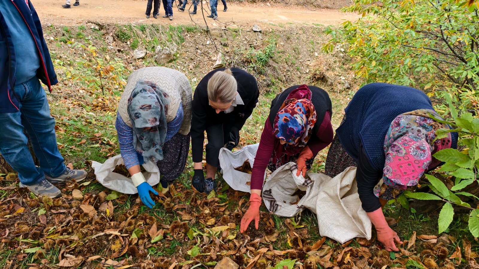 Nazillinin Kalbinde Bir Kadin Eli Kaymakam Huriye Kupeli Kan 611119 720B1Fc0Ebb2528C8Fe4De752E35D37B