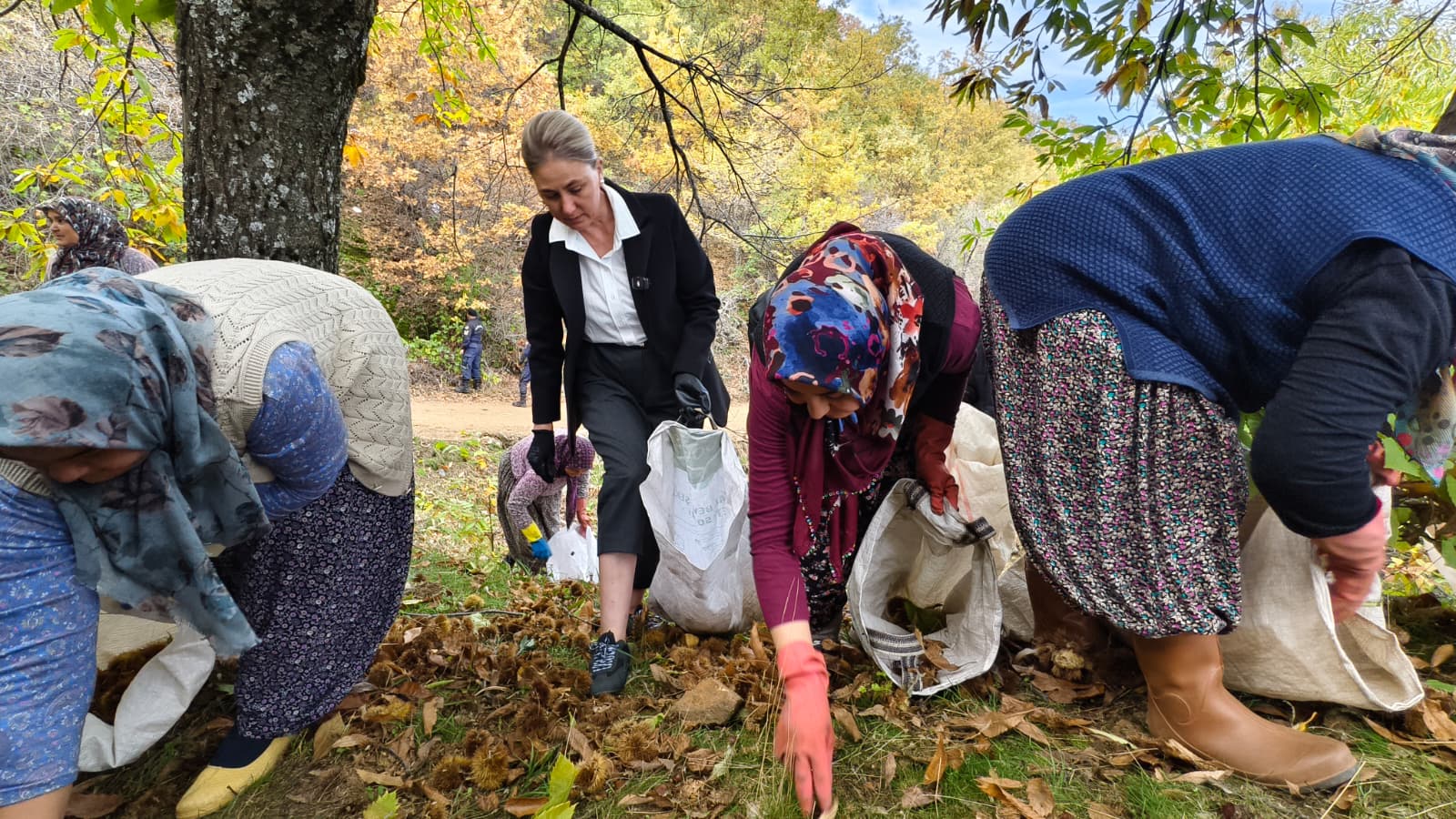 Nazillinin Kalbinde Bir Kadin Eli Kaymakam Huriye Kupeli Kan 611119 Ded4D5Bc902549B20C408342Ec41B70E