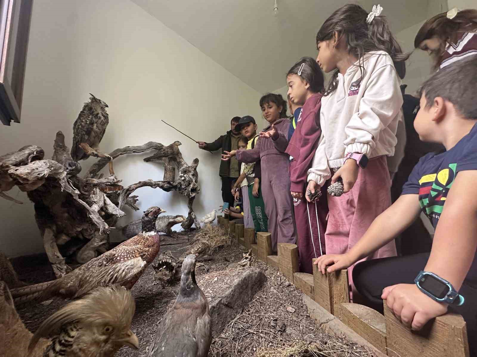 Ogrenciler Yaban Hayatini Yakindan Tanidi 91079C84Bc8D12D95137C94467Ef7019