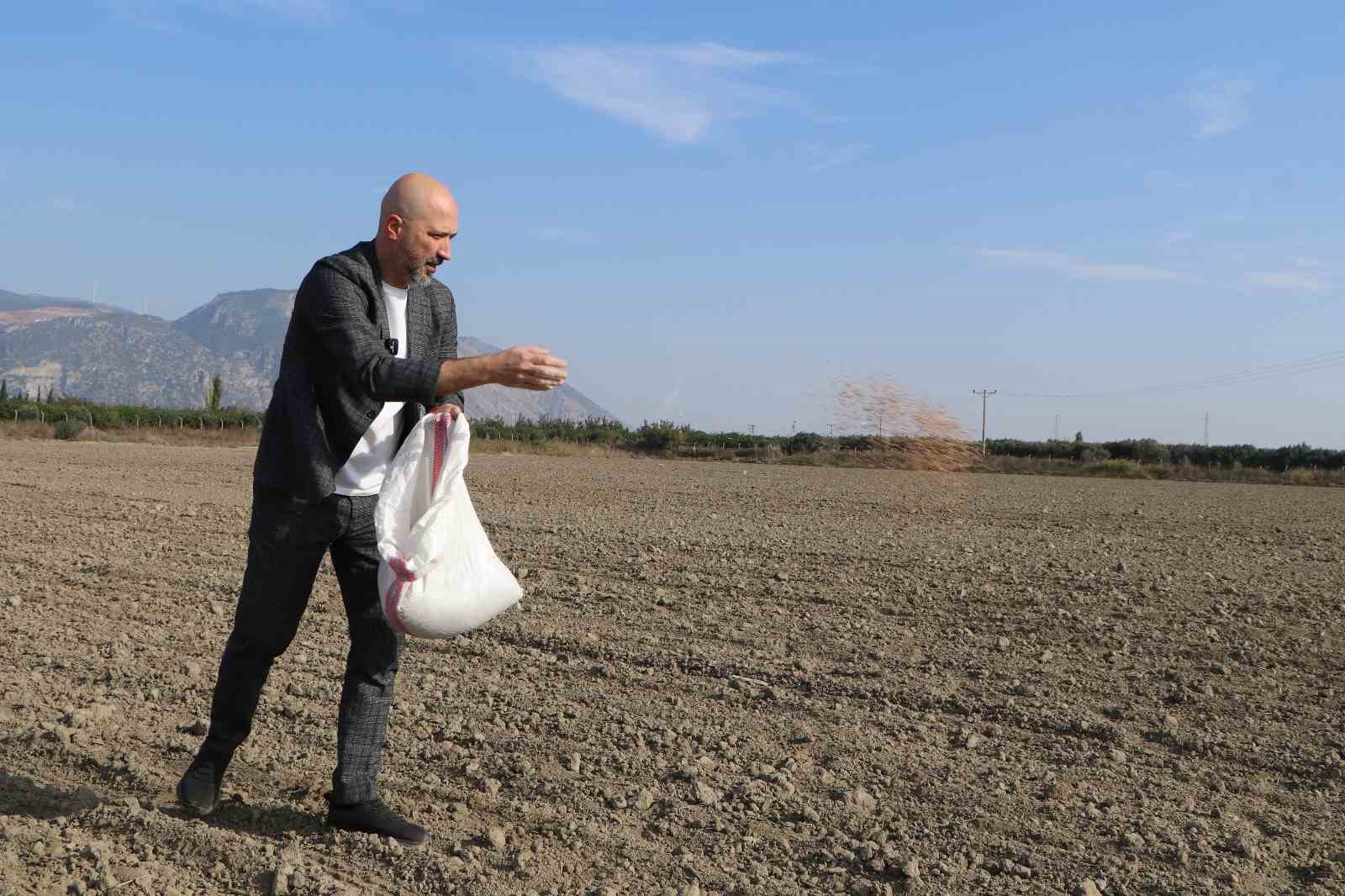 Soke Belediyesinin Bugday Tohumlari Bereket Icin Yeniden Toprakla Bulustu D19F3Eaf208Aede73Cf58308616E9B0E