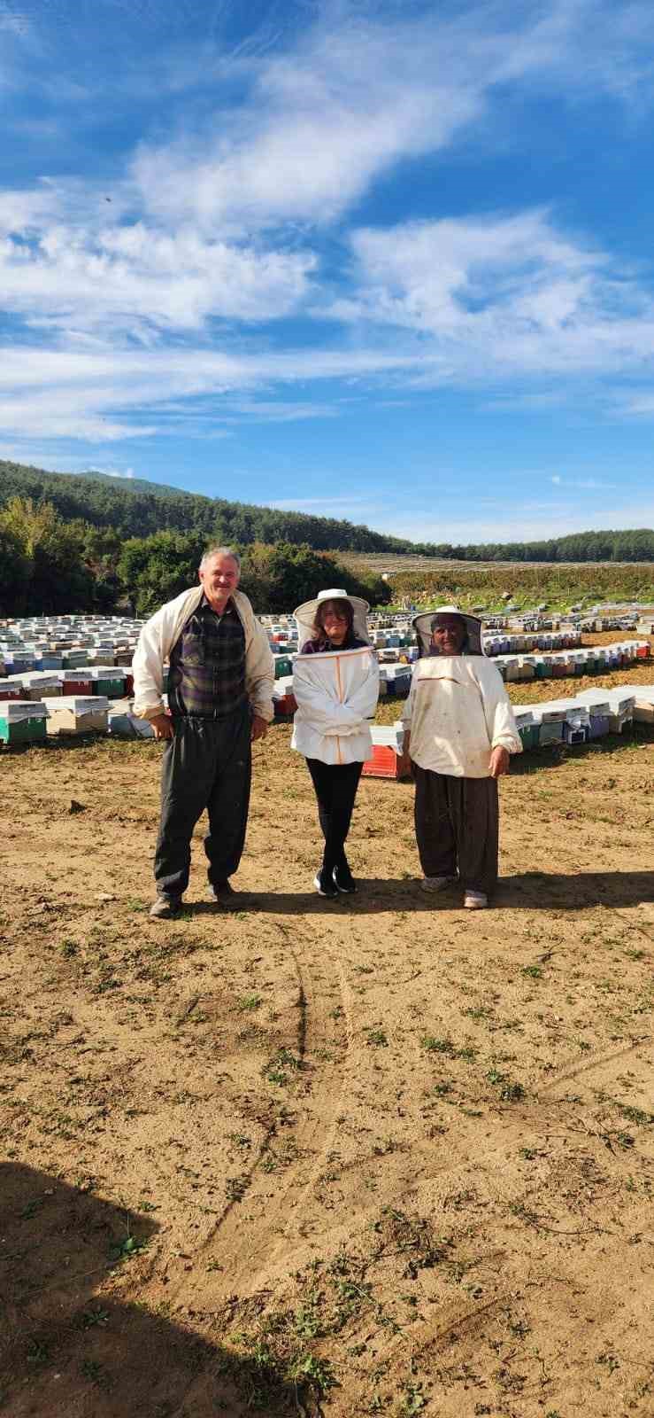 Sokede Arili Kovan Tespiti Yapildi D448A6Eeb00350Ec5D8C766D143F44F0