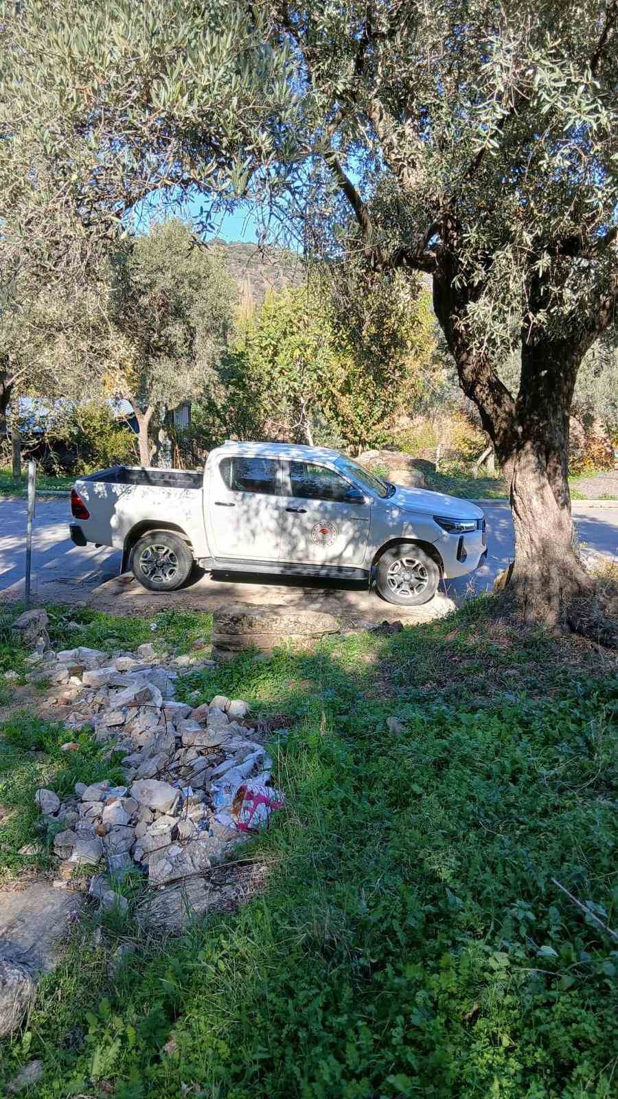 Sokede Zararli Populasyonunda Artis Goruldu 06D0F226323C8Bb3393942C3A8134181