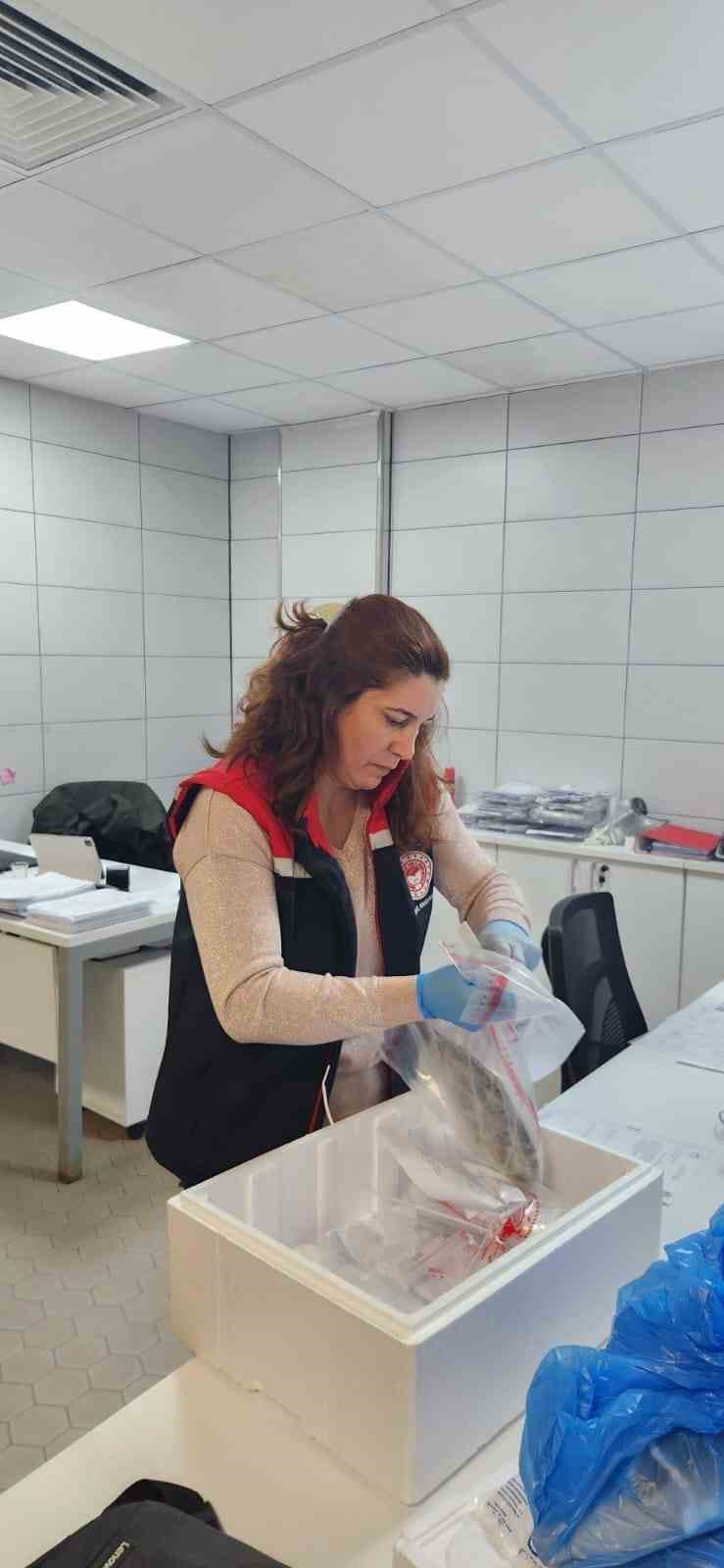 Sokeden Ihrac Edilecek Baliklara Analiz Cbfac1336B9F89565694Bfd85E5Bb1C3