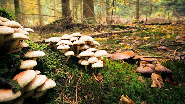 Whatsapp Görsel 2025 11 21 Saat 15.11.35 6797Bee8