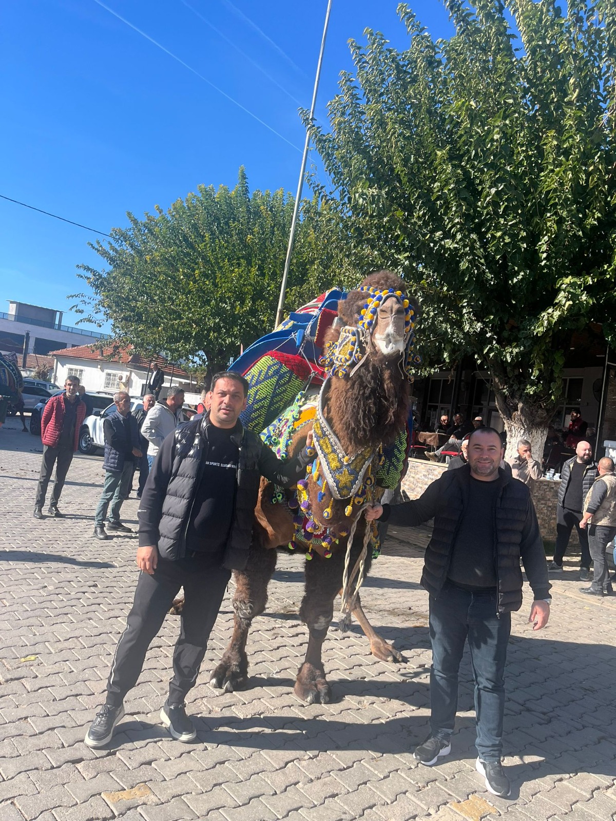 Whatsapp Image 2025 11 16 At 12.50.25