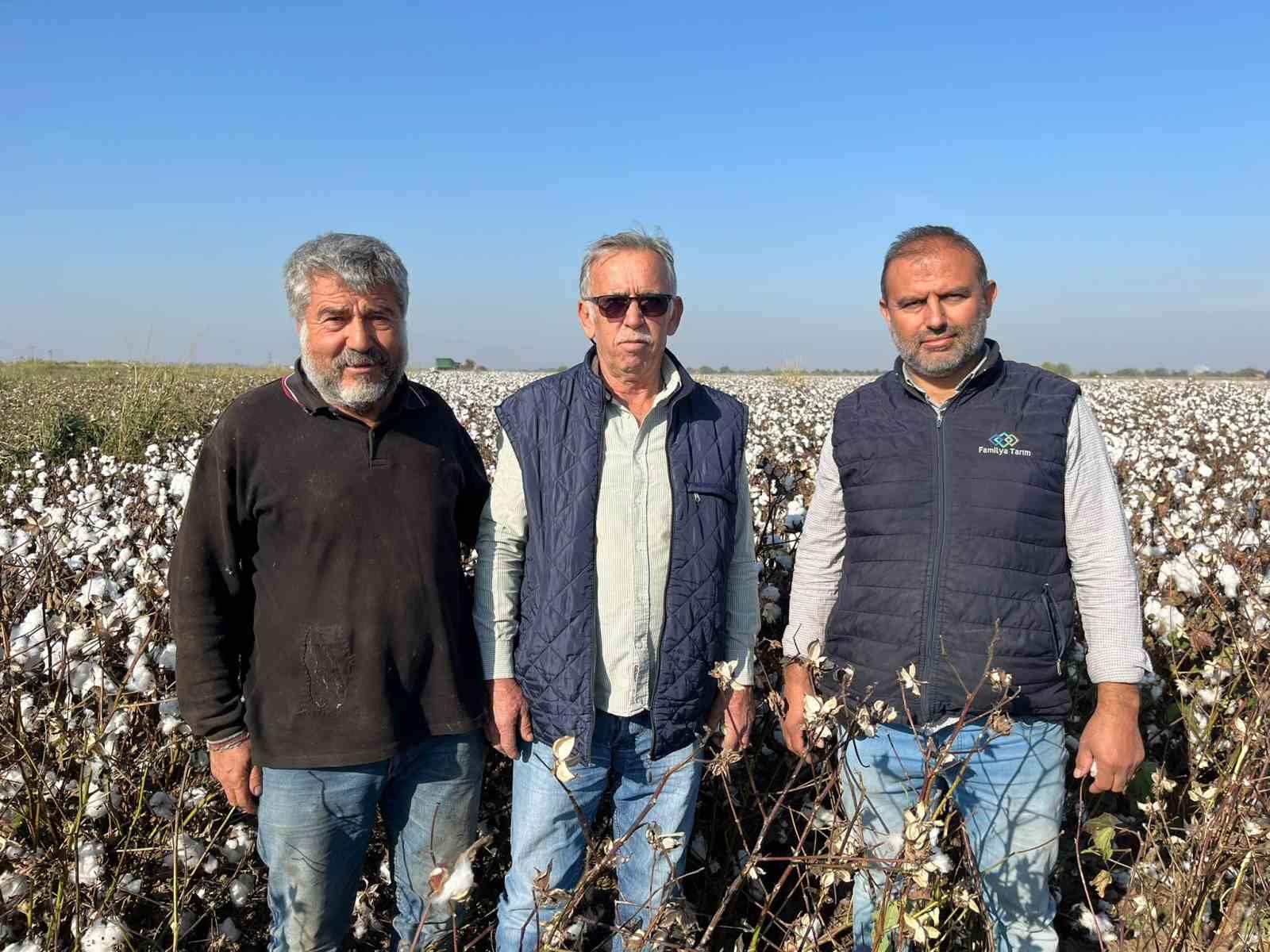 Yagislar Pamugu Etkiledi Cfad32Ca56E62669A45D3Ae2849E1358