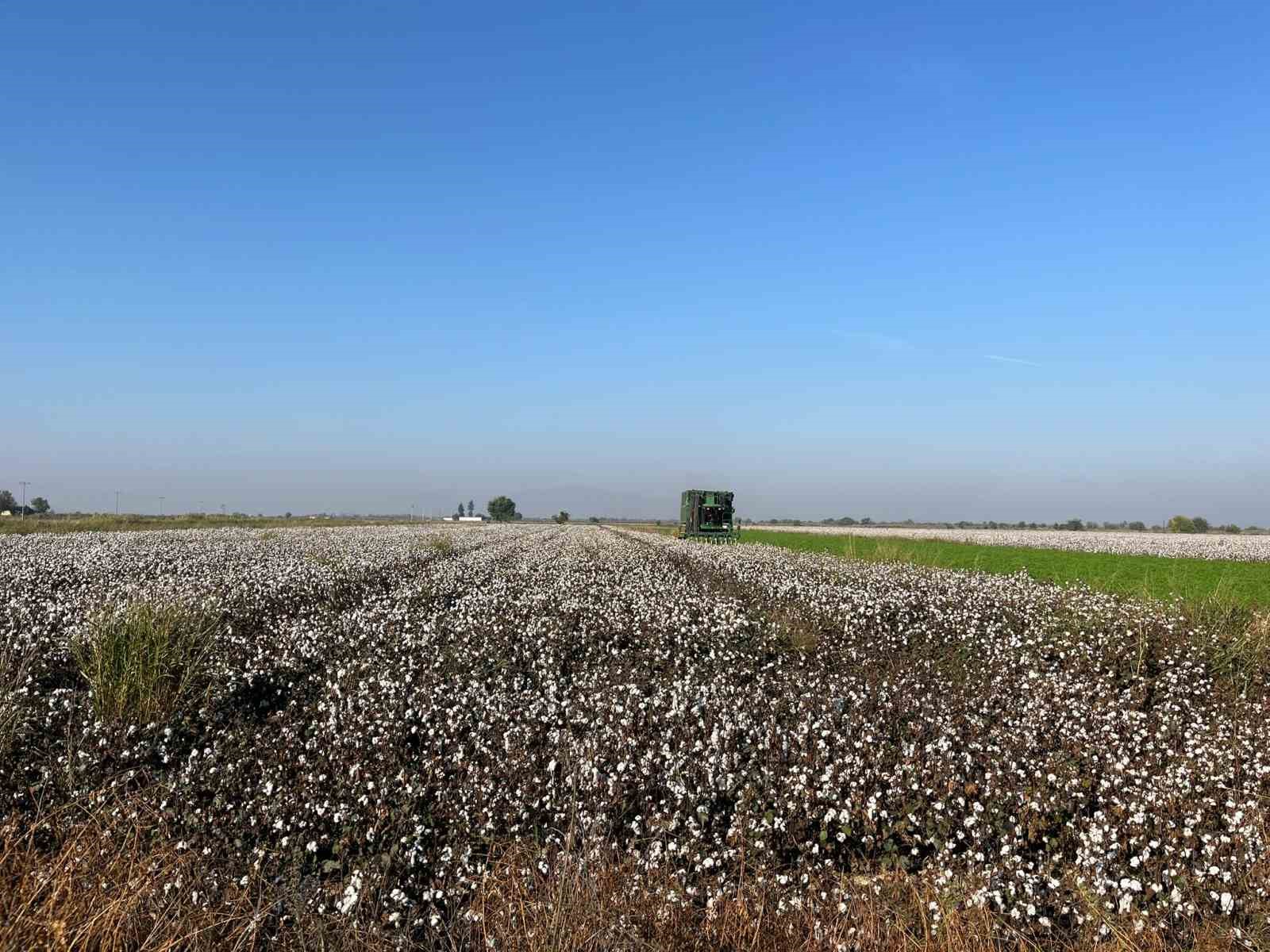 Yagislar Pamugu Etkiledi D60751F70A2684406002F49331Ebce92