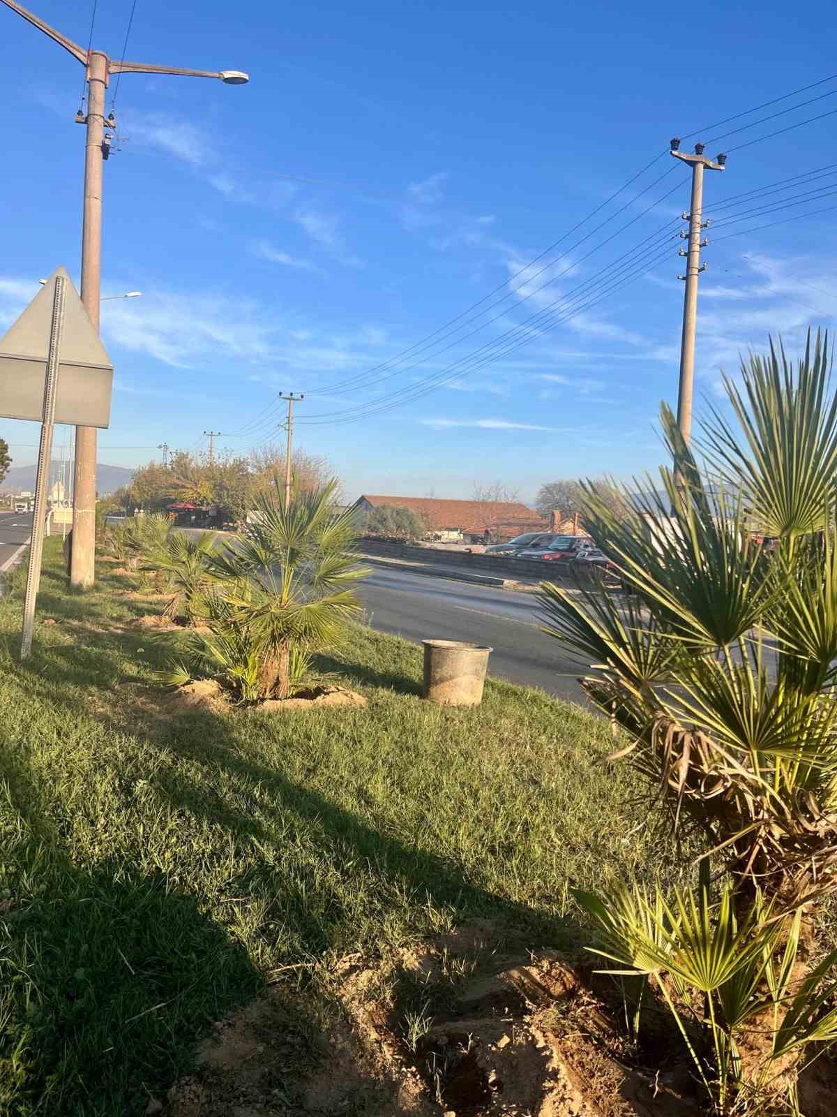 Yesil Sultanhisar Icin Agaclandirma Calismalari Suruyor 48Ff6E8Df6F7E66674E905Df83D406D9