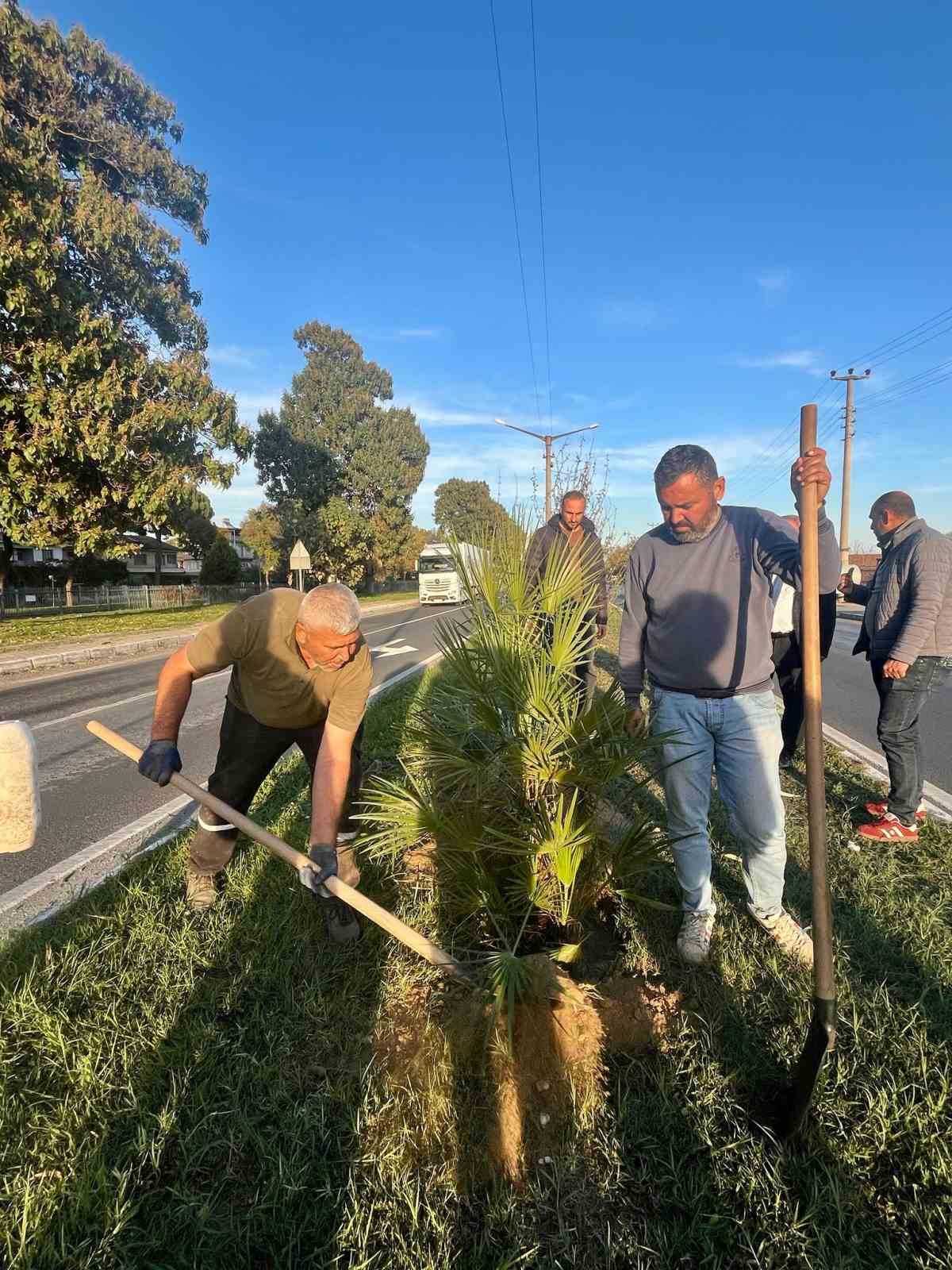 Yesil Sultanhisar Icin Agaclandirma Calismalari Suruyor C938F6A5Bdcd647728Fdeba4A0314F7A