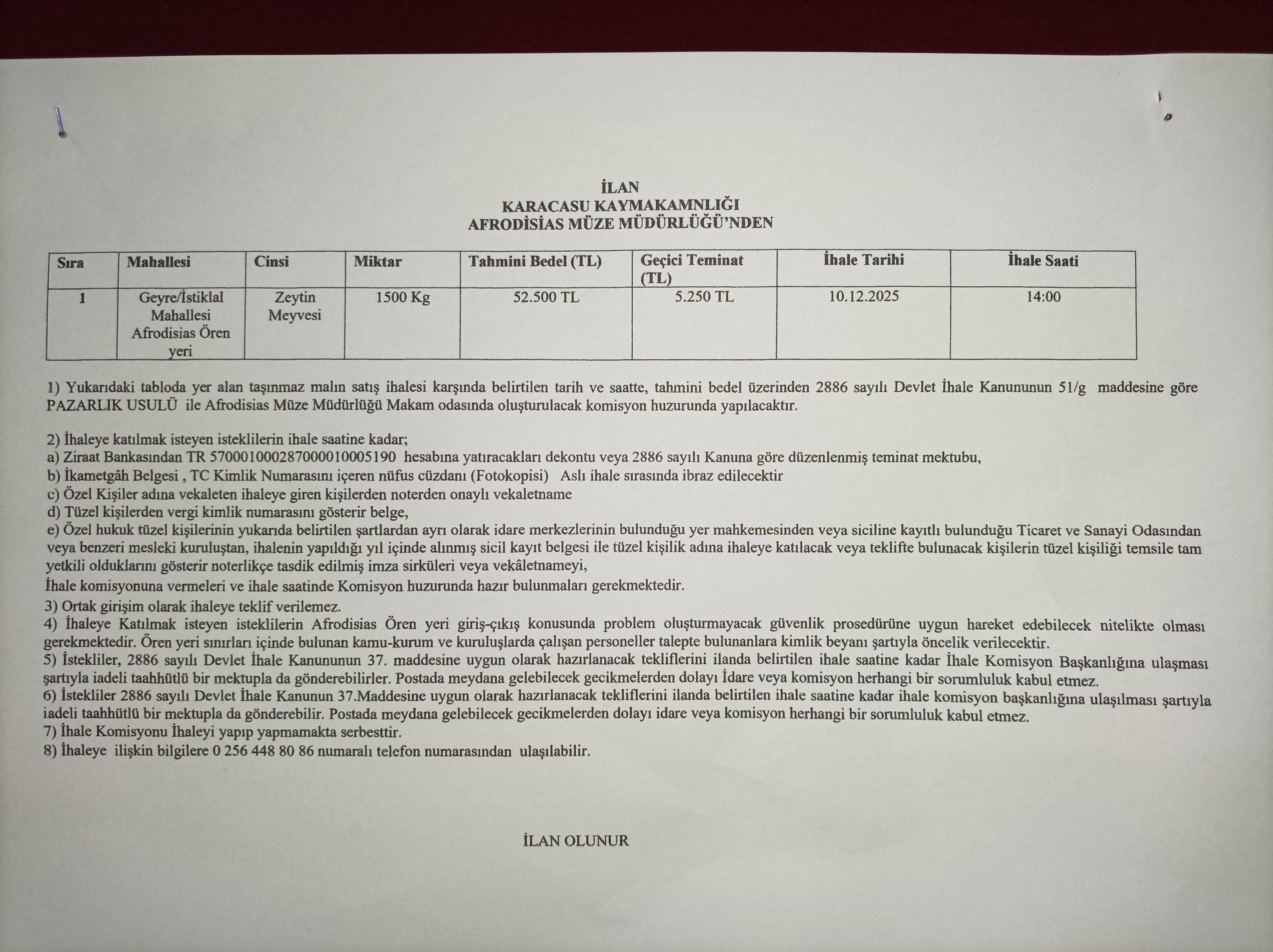 Afrodisias Antik Kentindeki Zeytinler Icin Ihale Yapilacak 620151 2E40E7B1B740821B098C54Dbdb329E6E