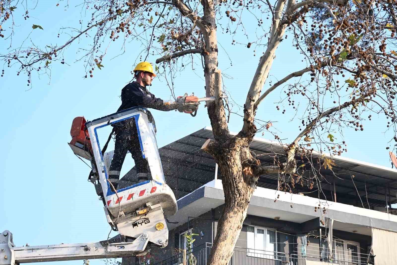 Aydin Buyuksehir Belediyesi Efelerde Calismalarini Surduruyor 8F43F4Ec413Edaa1Fcc5587Be9599218