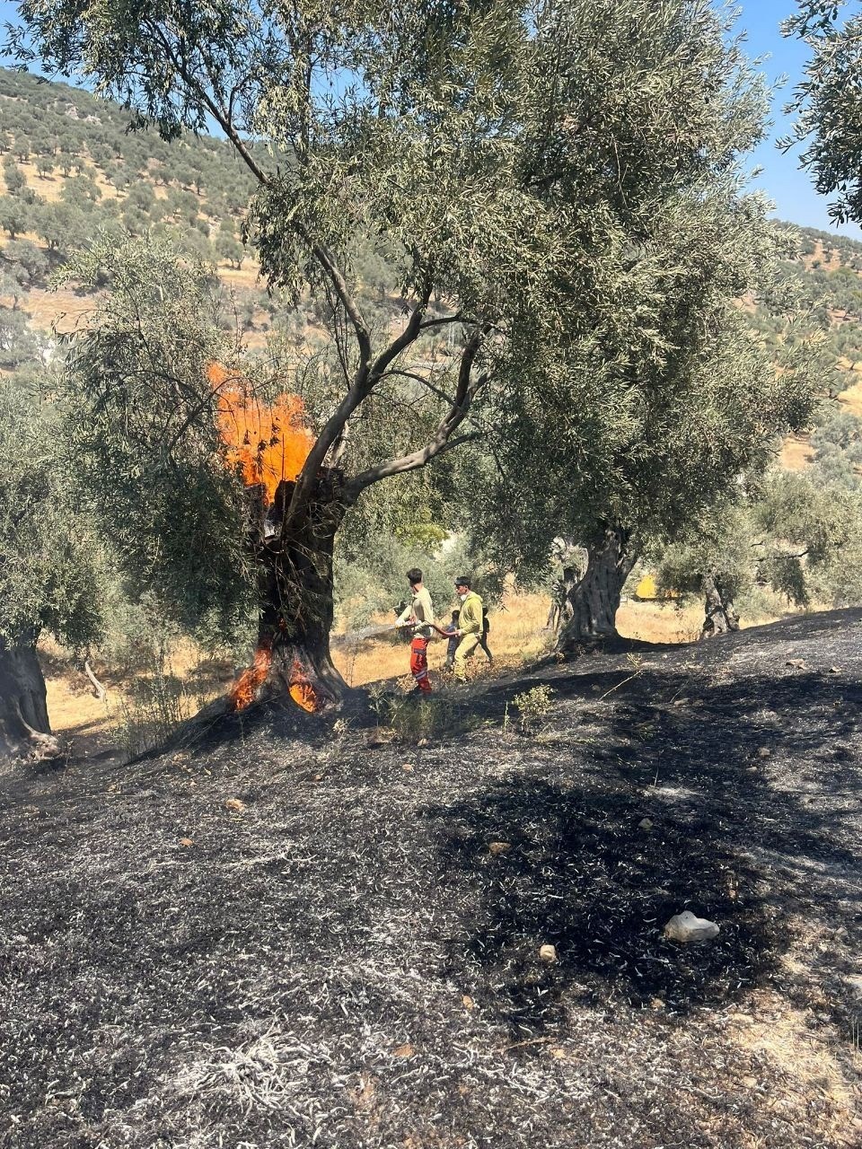 Aydinda Ates Savascilarinin 2025 Yili Boyle Gecti Cb7Ed29Da44F5101A383D0027Af18B99