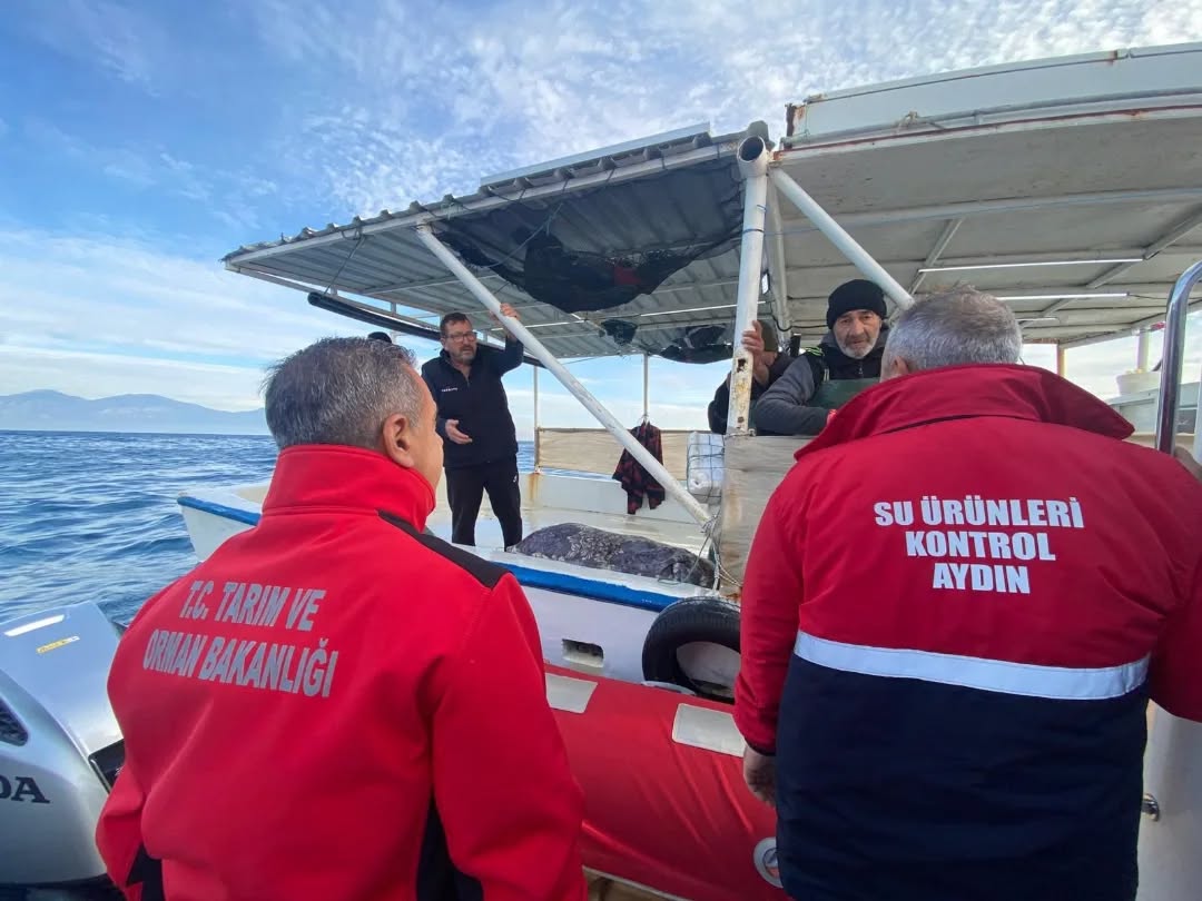 Aydinda Balikcilik Denetimleri Siklasti 618846 766C91Dfbcbbf493Fa448E16Aa88D8F7