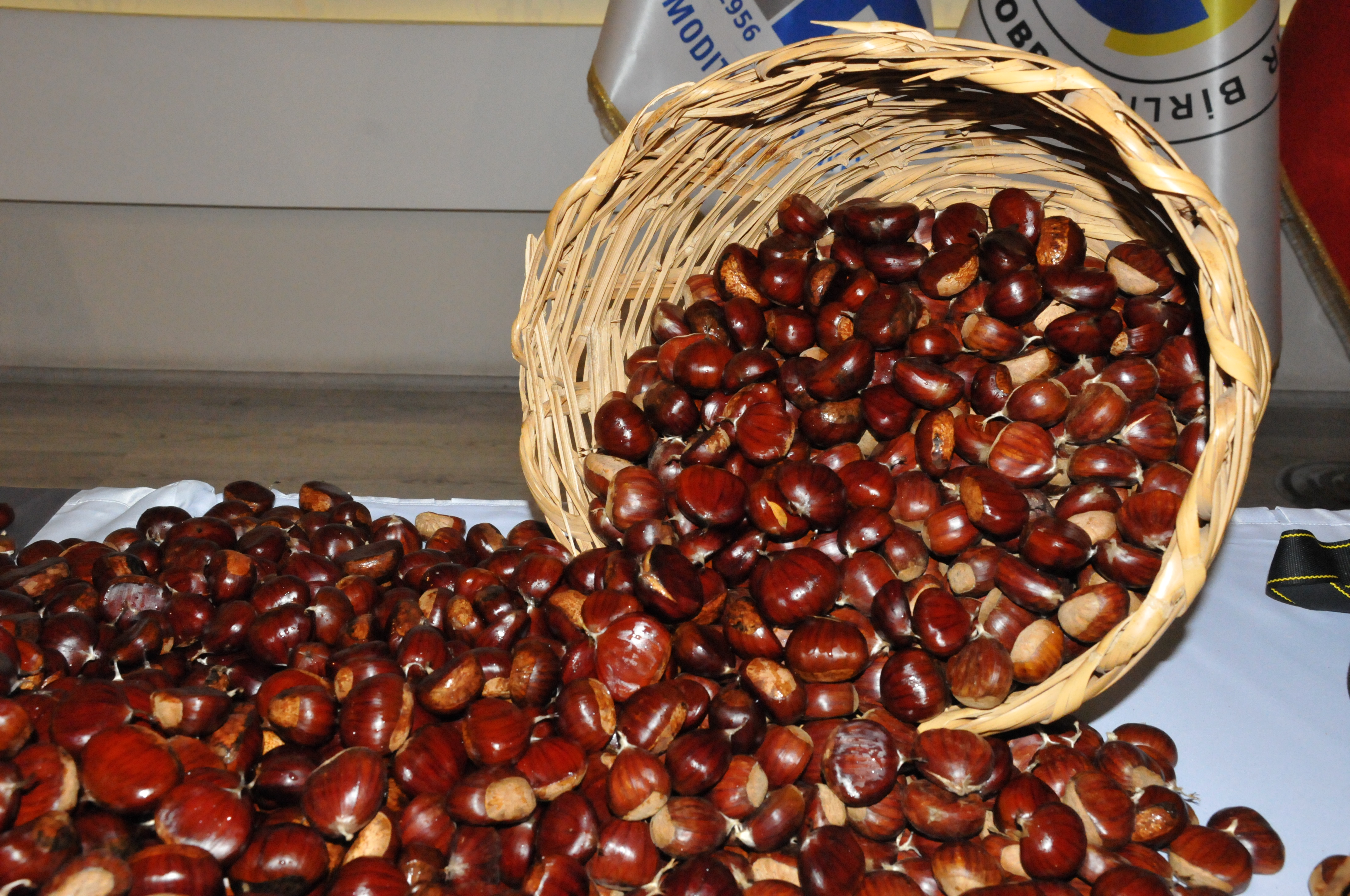 Aydinda Kestane Ve Incir Festivali Yapilacak 623069 Fd8F9Ef2C825E945Fe1E5C7C35F93A16