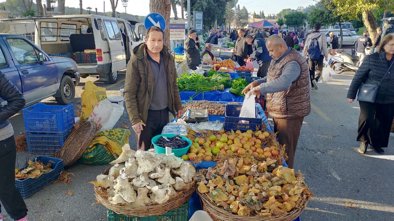 Aydindaki Dev Mantarlar Pazarda Ilgi Odagi Oldu 3B838F019Fa035280Bddd8B7Eb960759