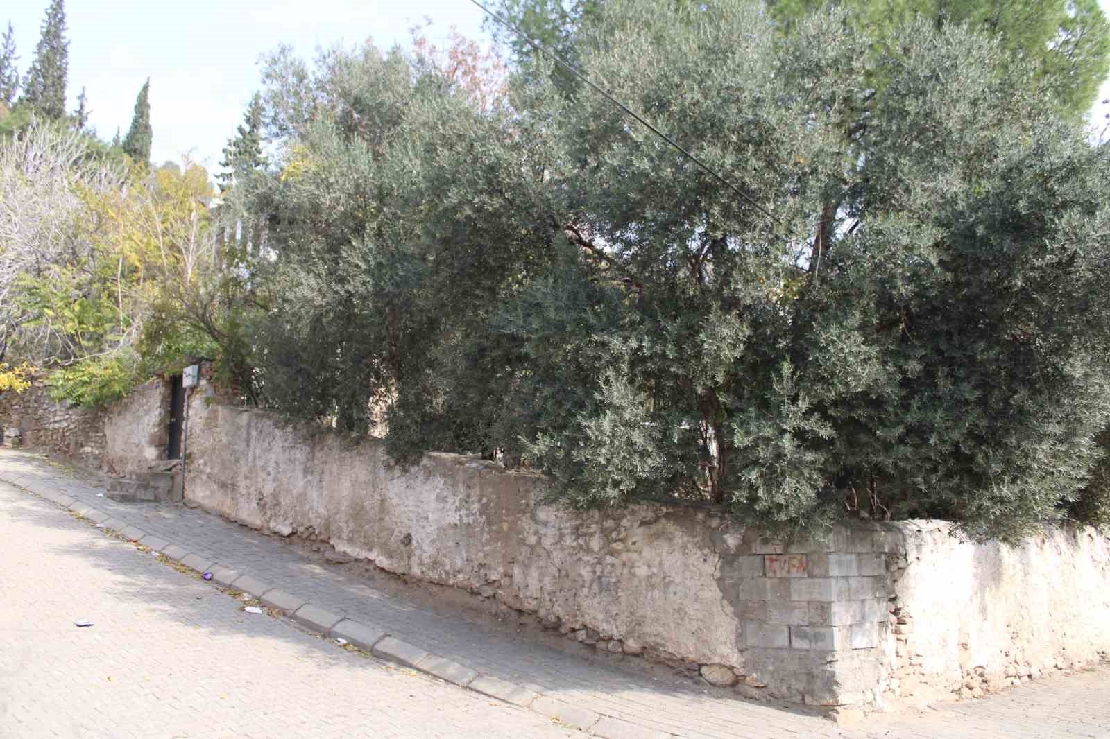 Aydinin Beybabasinin Mezari 105 Yil Sonra Aciga Cikti 5E45Cba74A85C092Ca1C2Ca3Df56D1Ee