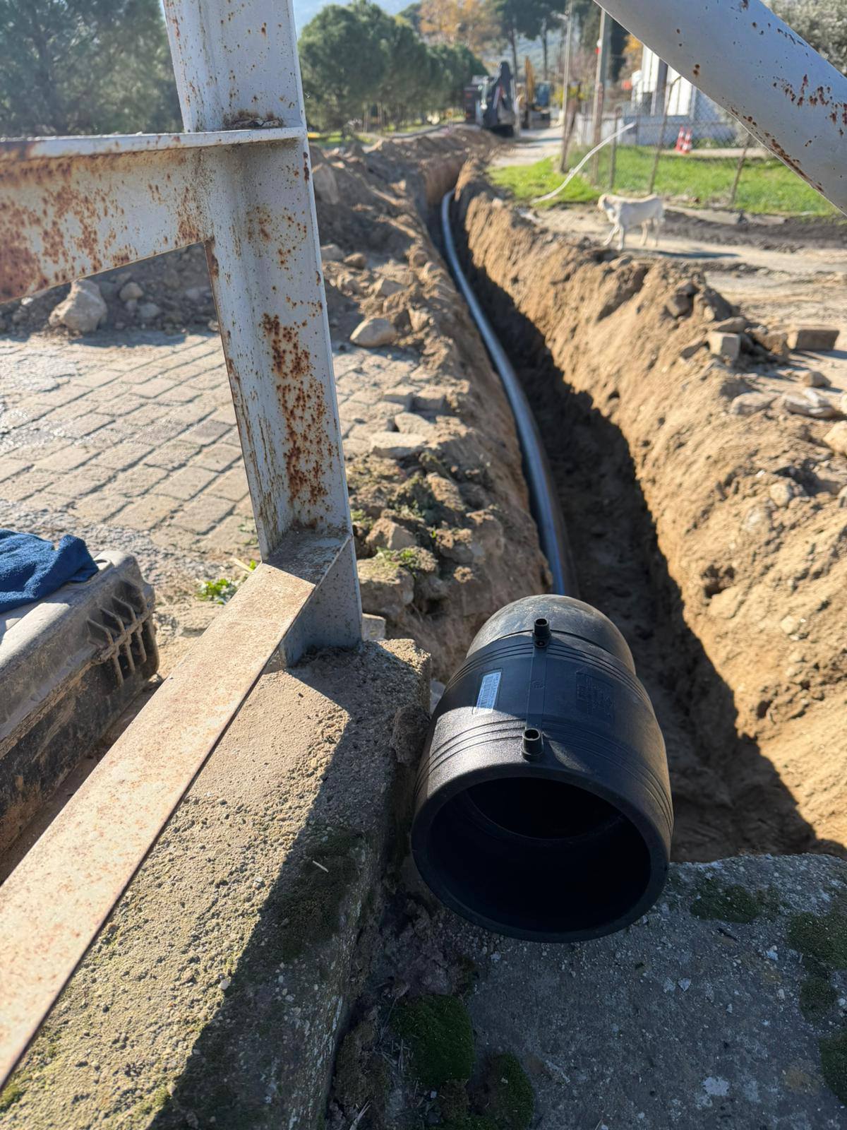 Dalamada 60 Yillik Cile Bitiyor 624252 Cf124052Dd44B76B54E080F332324Ba0