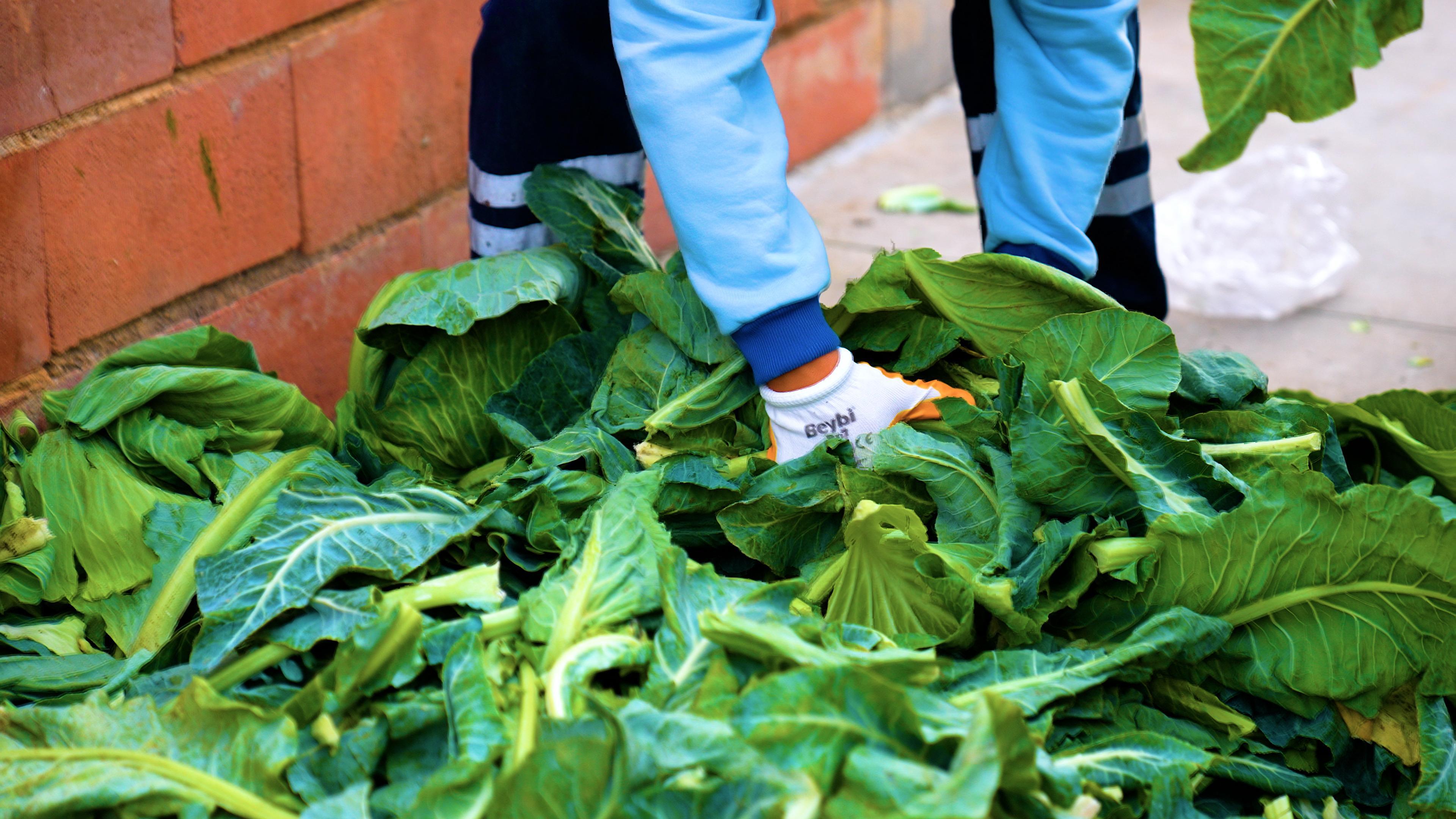 Didim Belediyesinden Ornek Proje Pazar Atiklari Komposta Donusuyor 619337 3889873E672Ecea0B089E49Aac7Eeb82