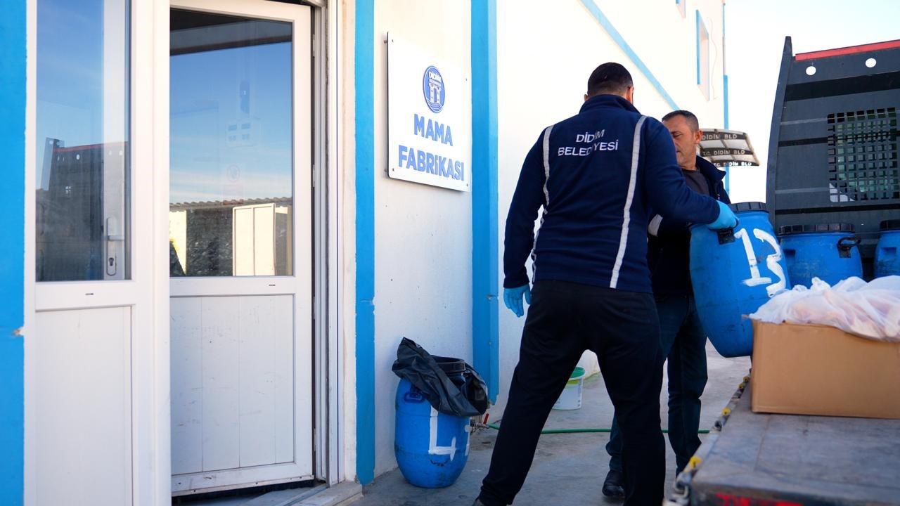 Didimde Her Geri Donusum Can Dostlara Umut Olacak 65F0Fa9C27049C848Da76F4D36Db685D