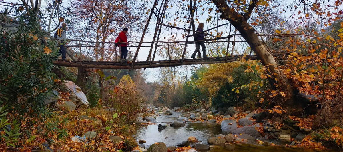 Dogaseverler Aydinin Essiz Mimarisini Kesfettiler 624030 3F5611F21Df0E3356B75Db168229F1Fc